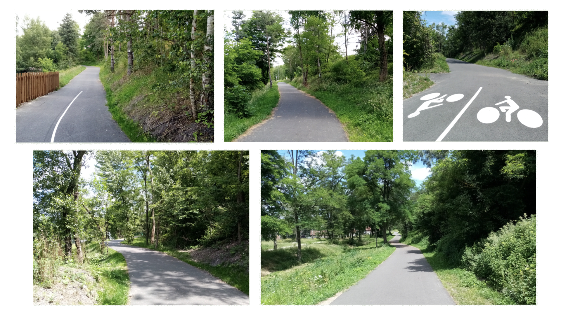 Vue de la voie verte Roche la Molière