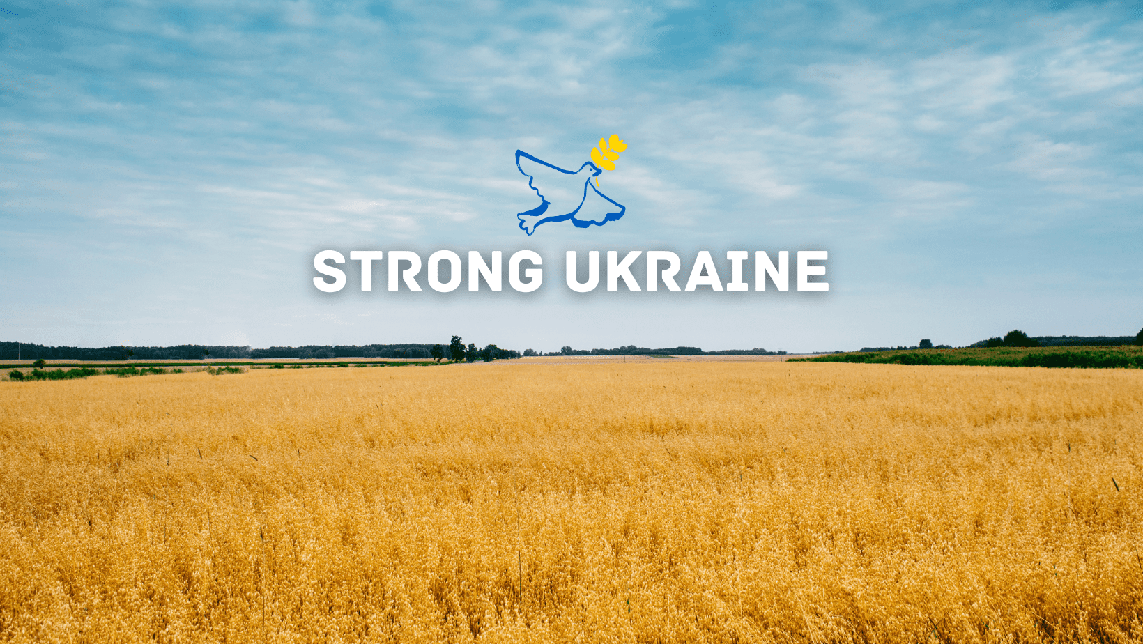 banner Strong Ukraine