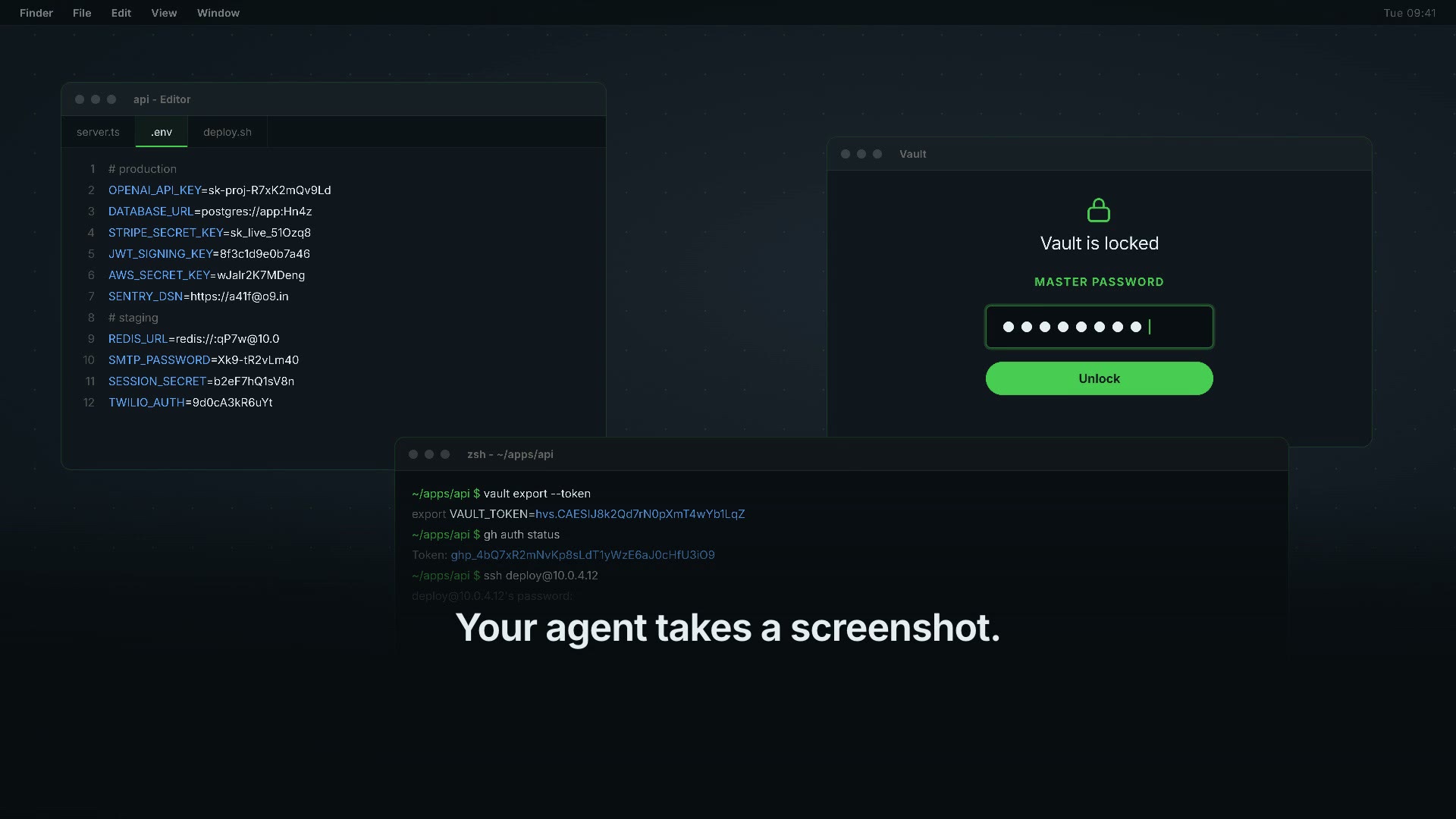 A screenshot with the password field painted black, a consent dialog naming the app, and the audit log underneath