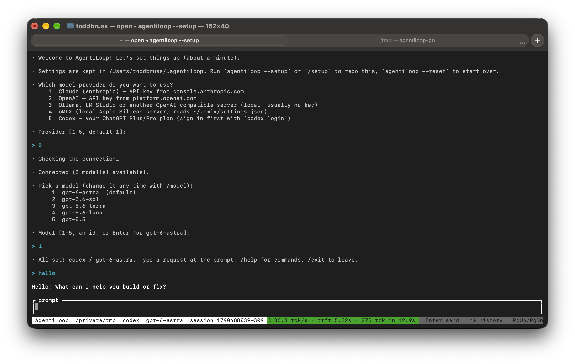 AgentiLoop 0.0.3: the TUI-hosted setup wizard signing in with a ChatGPT plan (Codex), picking gpt-6-astra, and answering the first prompt