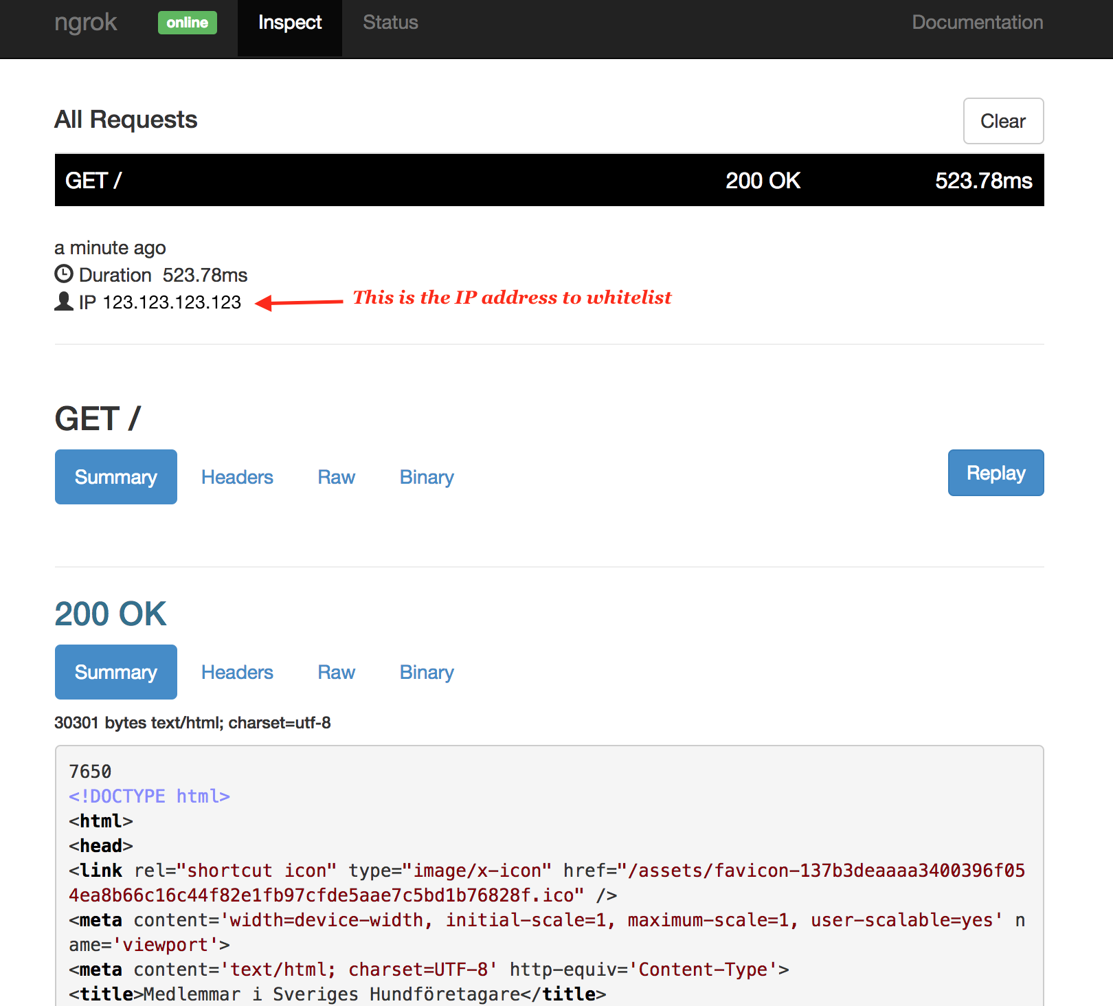 ngrok web interface page with data after a visit