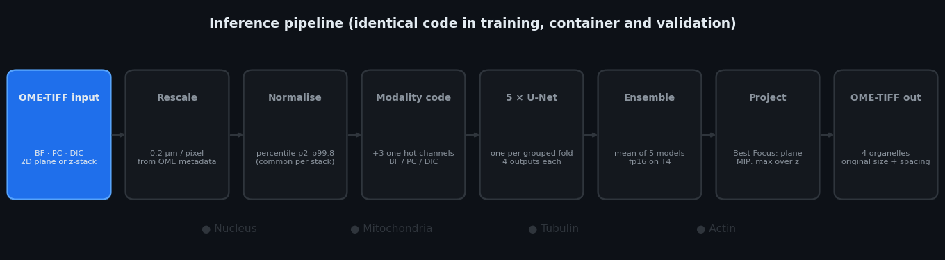 Animated inference pipeline