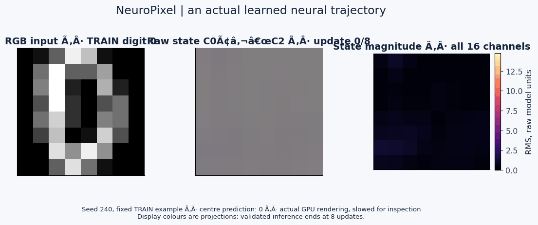 Actual learned network trajectory