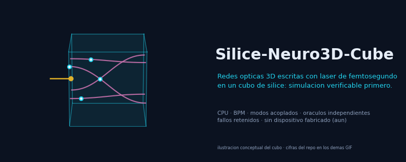 Silice-Neuro3D-Cube: a fused-silica cube with femtosecond-laser-written waveguides
