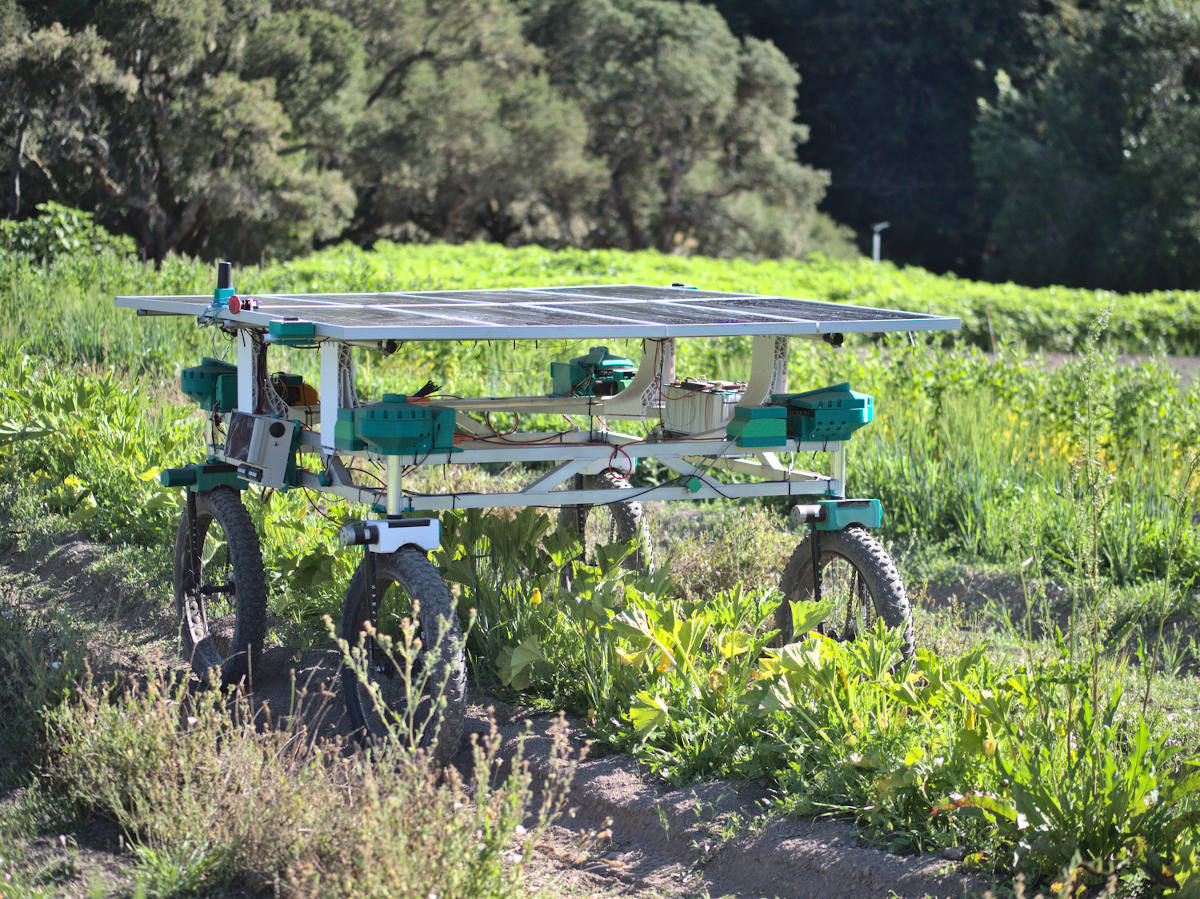 Our acorn prototype in the field.