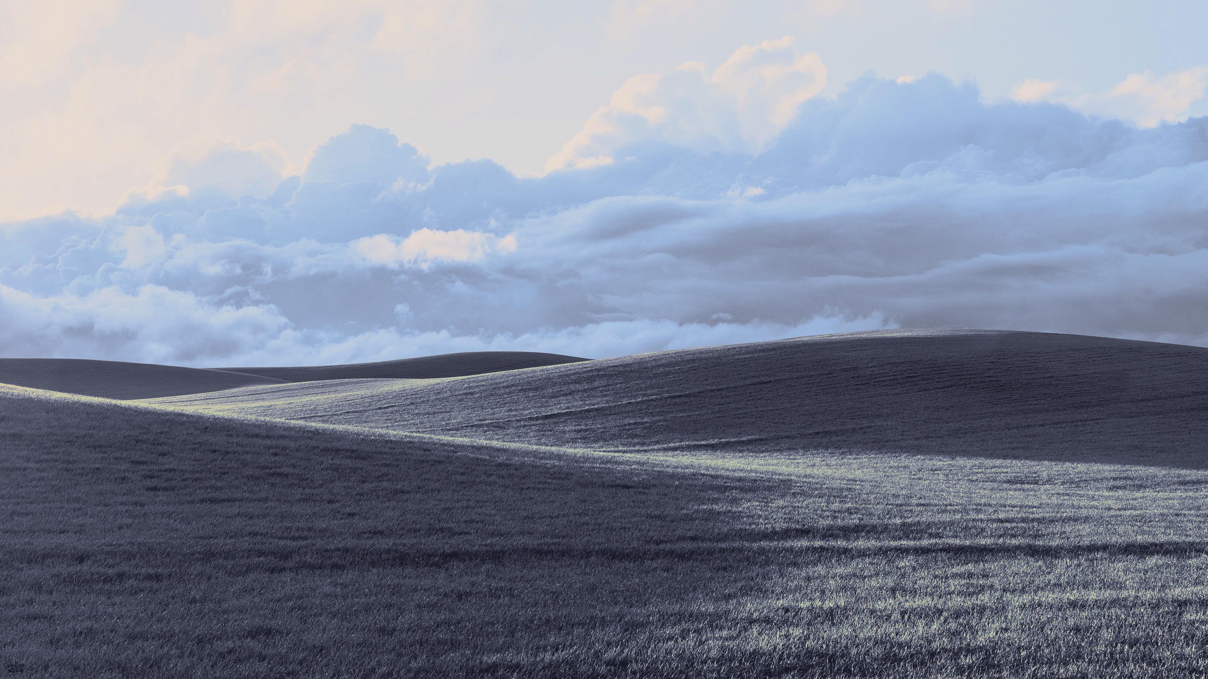 Windows XP