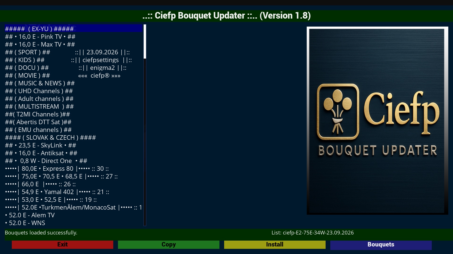 CiefpChannelManager صورة 3