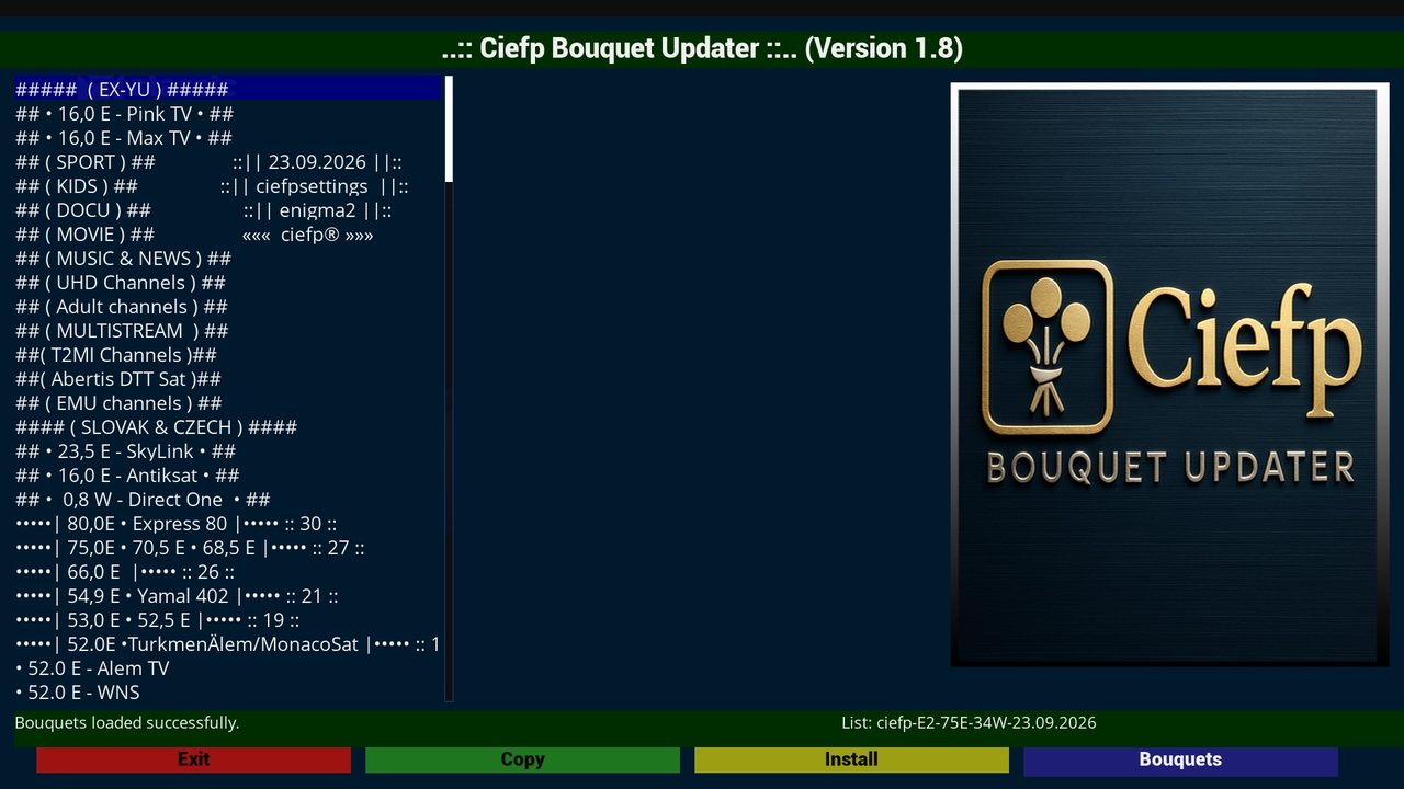 CiefpChannelManager صورة 3