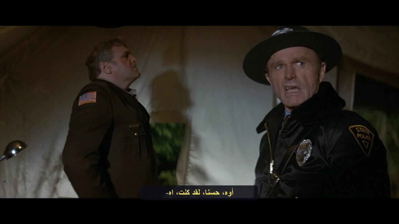 Enigma Translate صورة 2