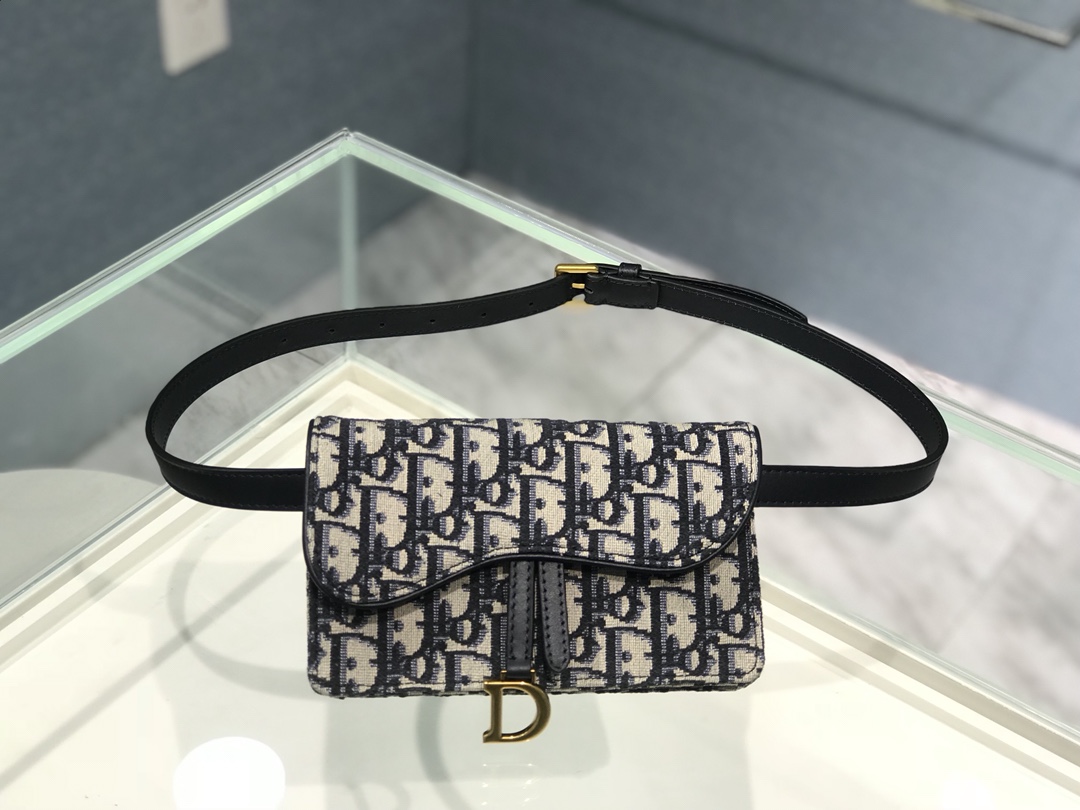 Dior Saddle Waist Bag
