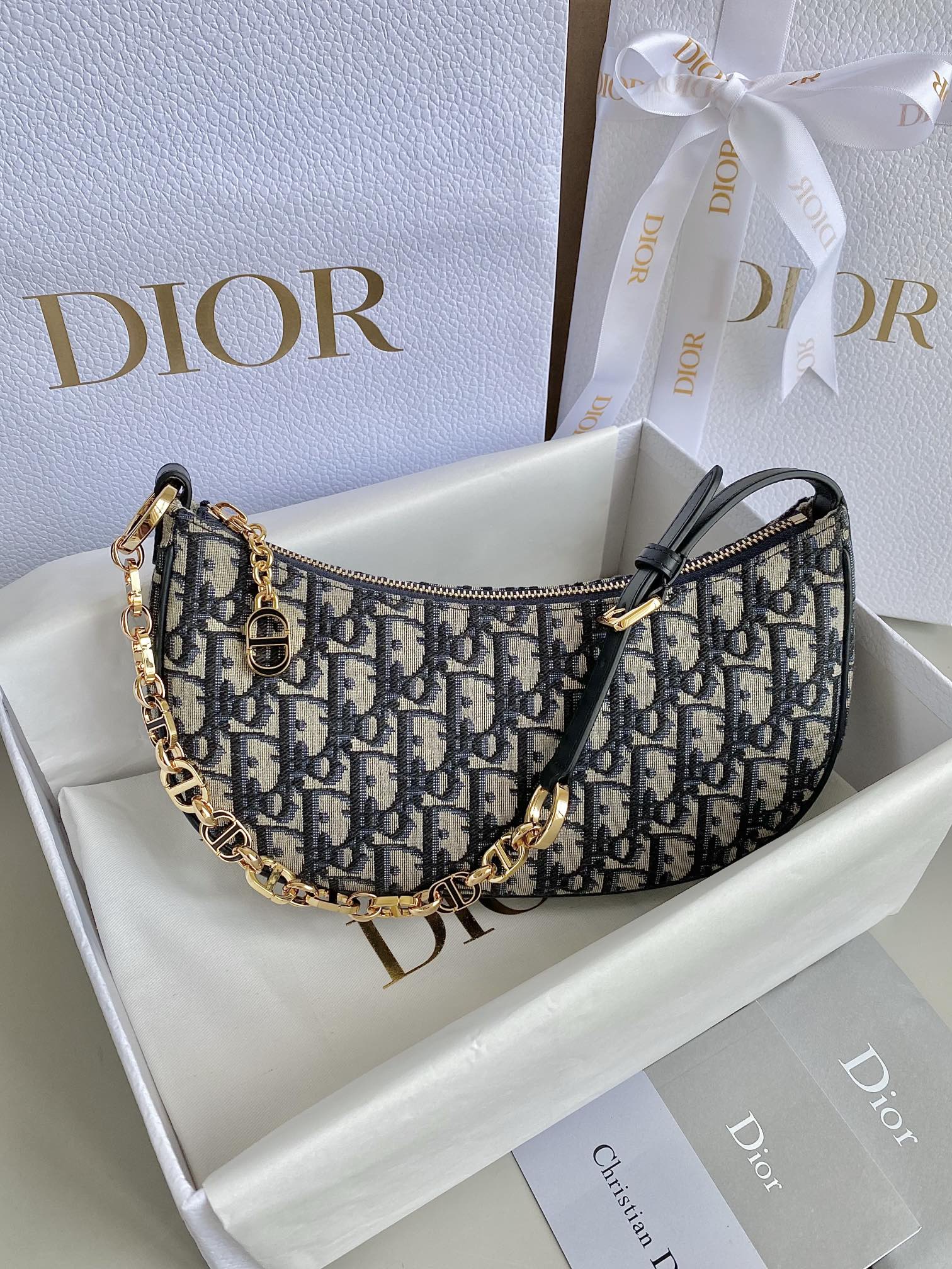Dior Lounge Crescent Armpit Bag