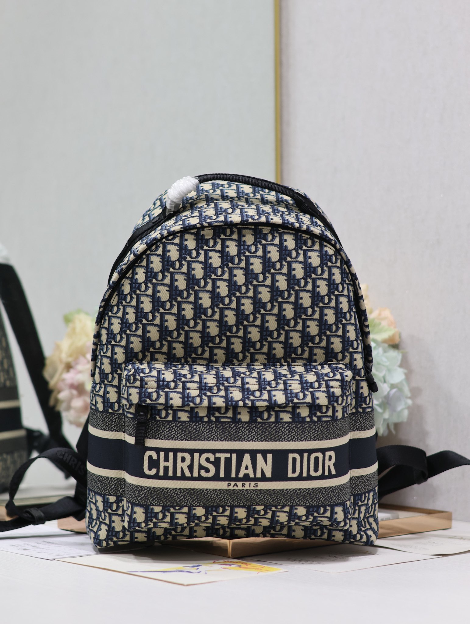 Dior Travel Backpack Blue Large