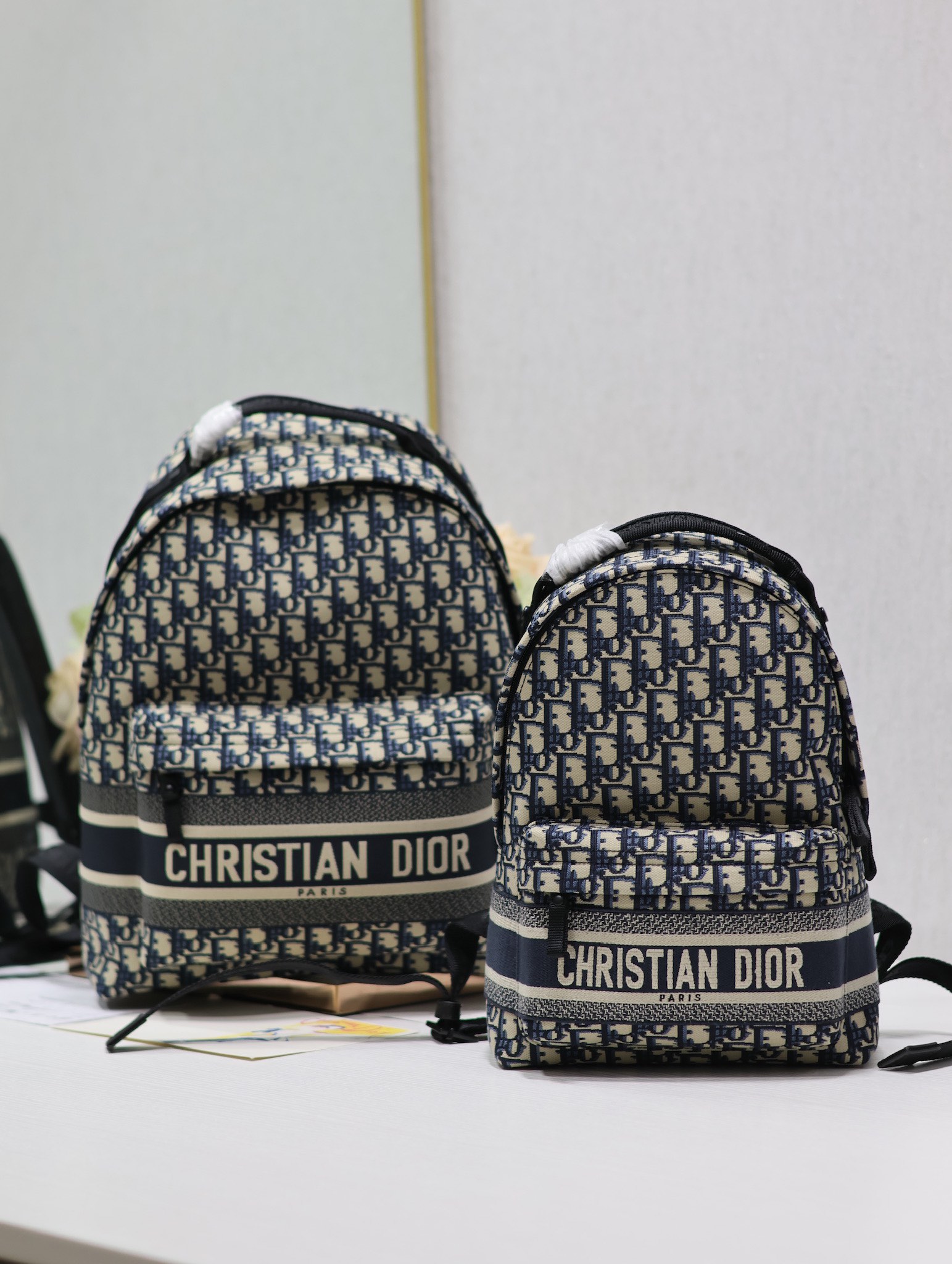 Dior Travel Backpack Oblique Set