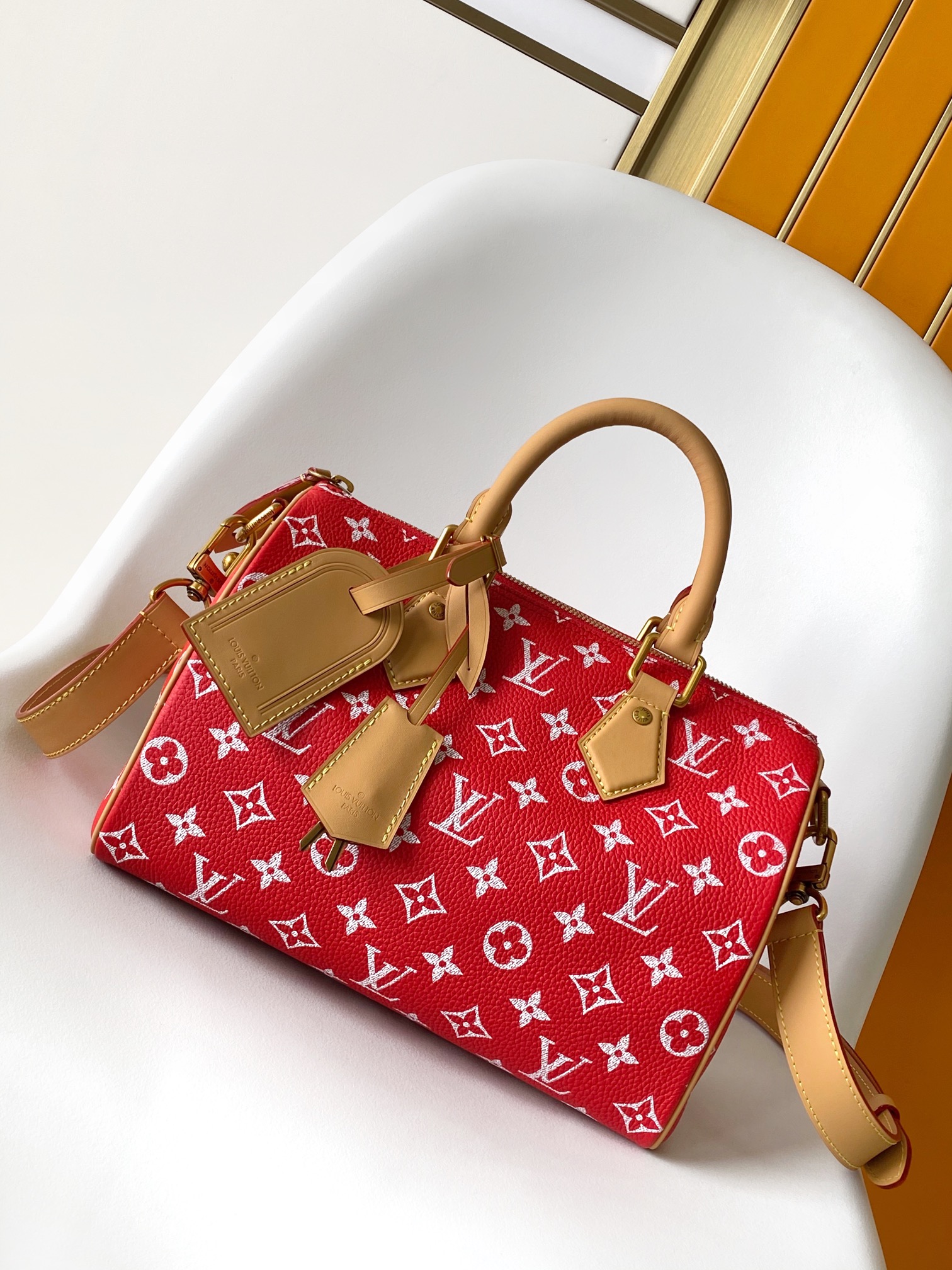LV Pharrell Williams Speedy 25 Bag