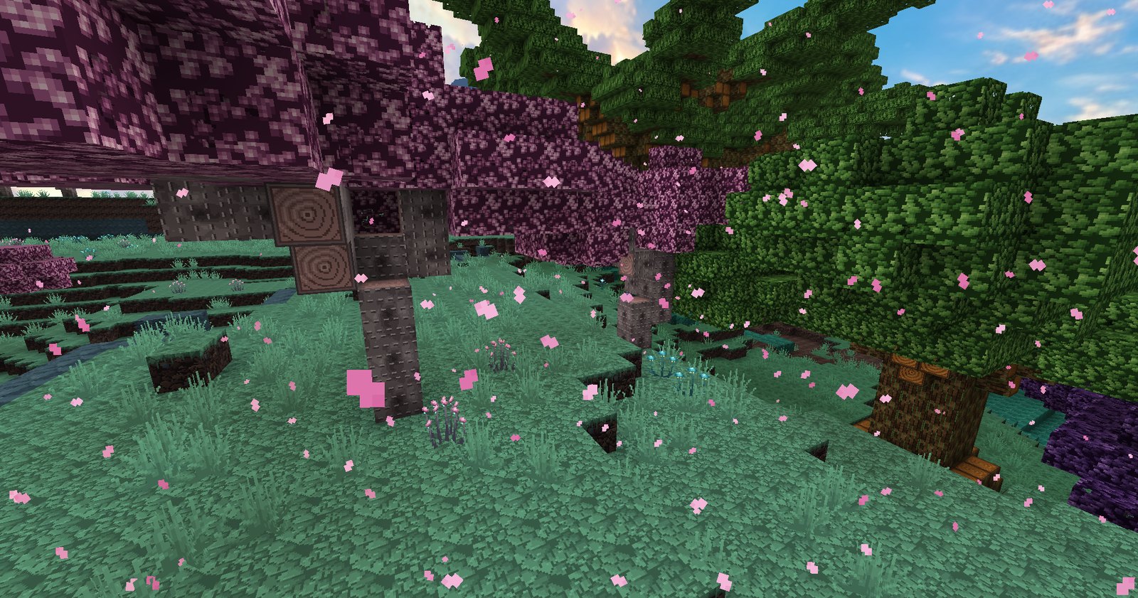 The Chime Orchard in blossom