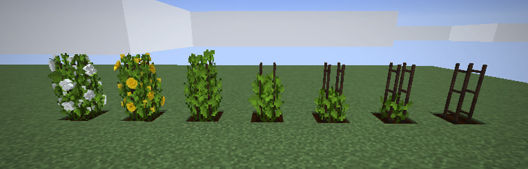 All seven growth stages of cotton on the trellis, from a sprout to a full plant