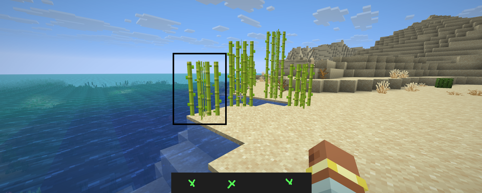 A screenshot of a beach with sugar cane, framed and marked up with the Mark up panel before sharing