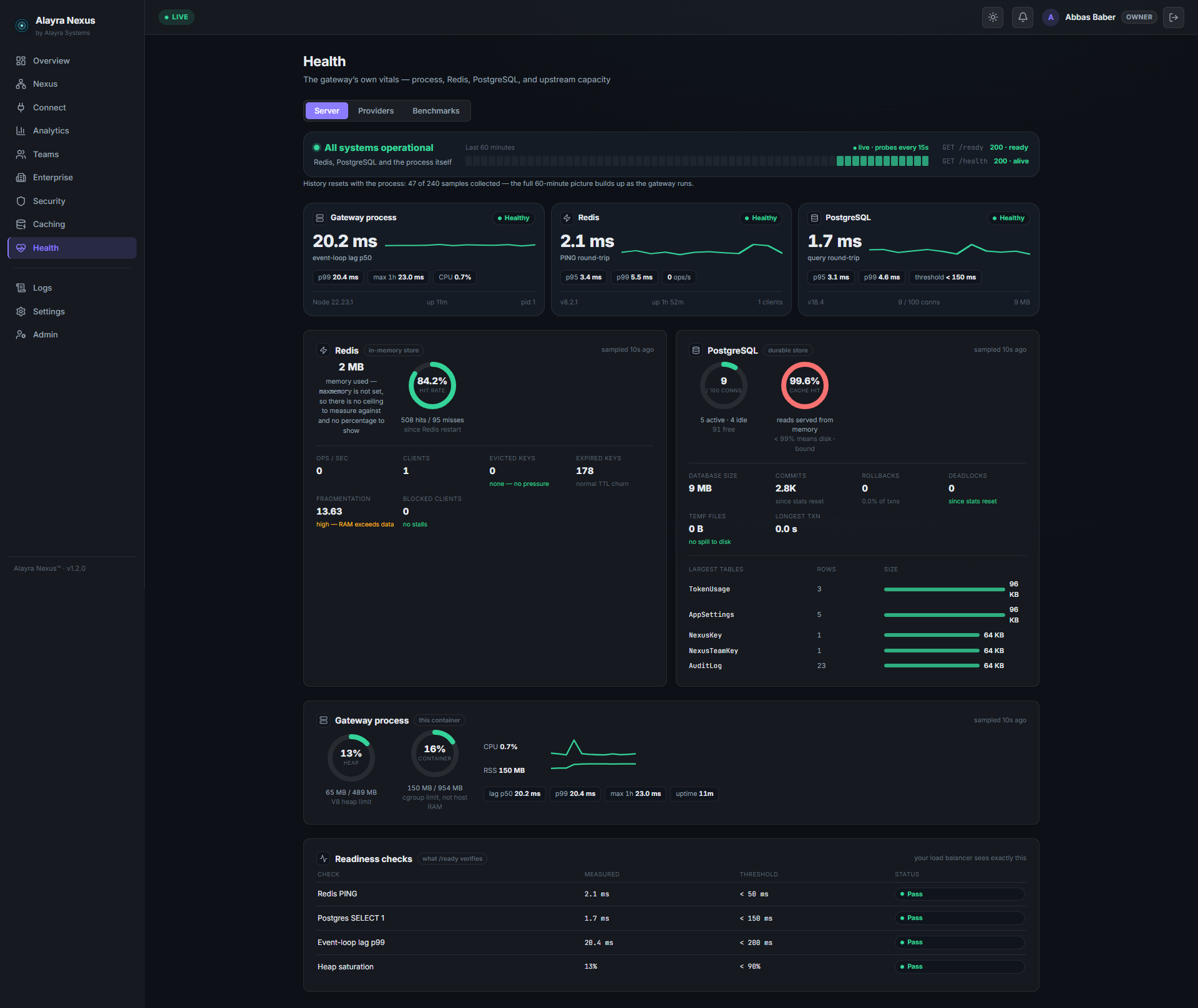 The health page — live probes for Redis, Postgres and provider reachability