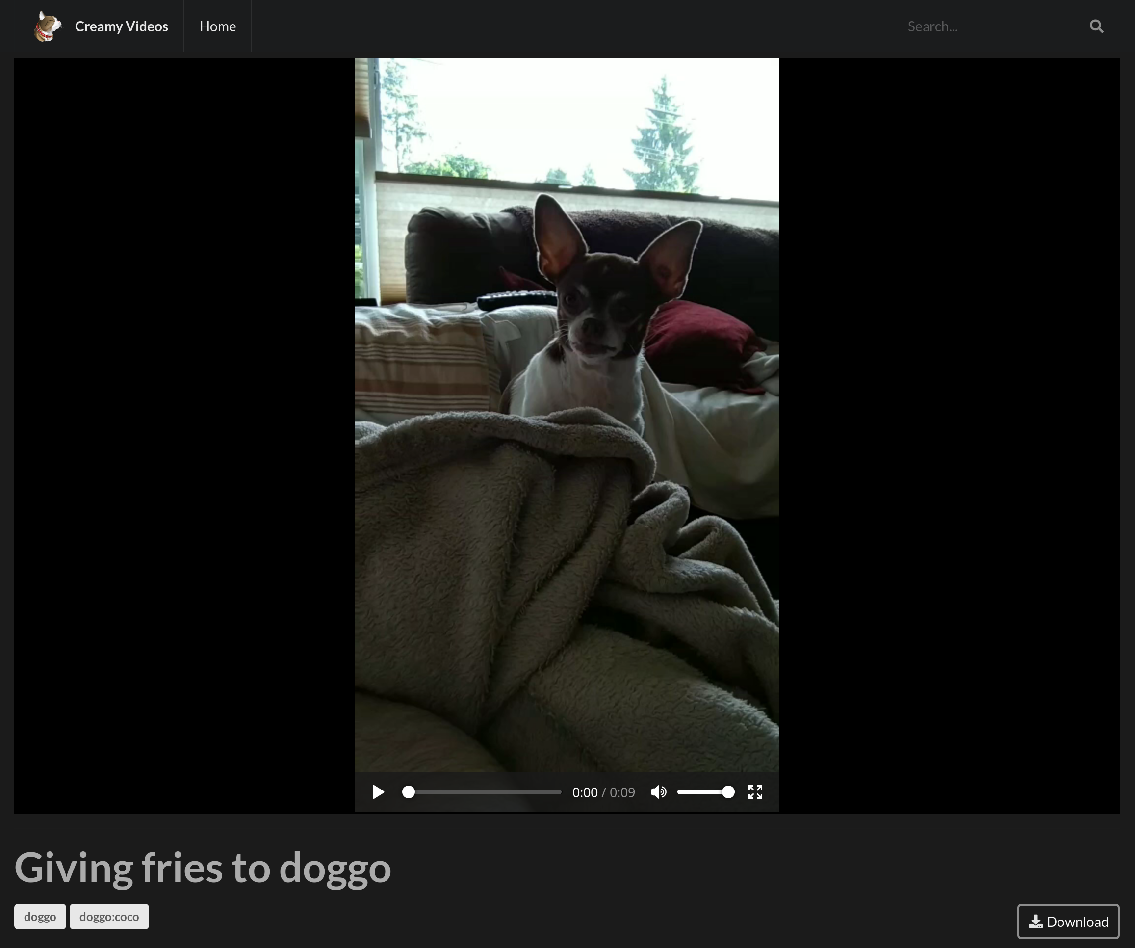 Screenshot of Video Playing