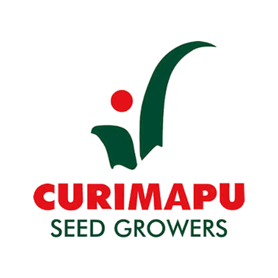 Curimapu Seeds