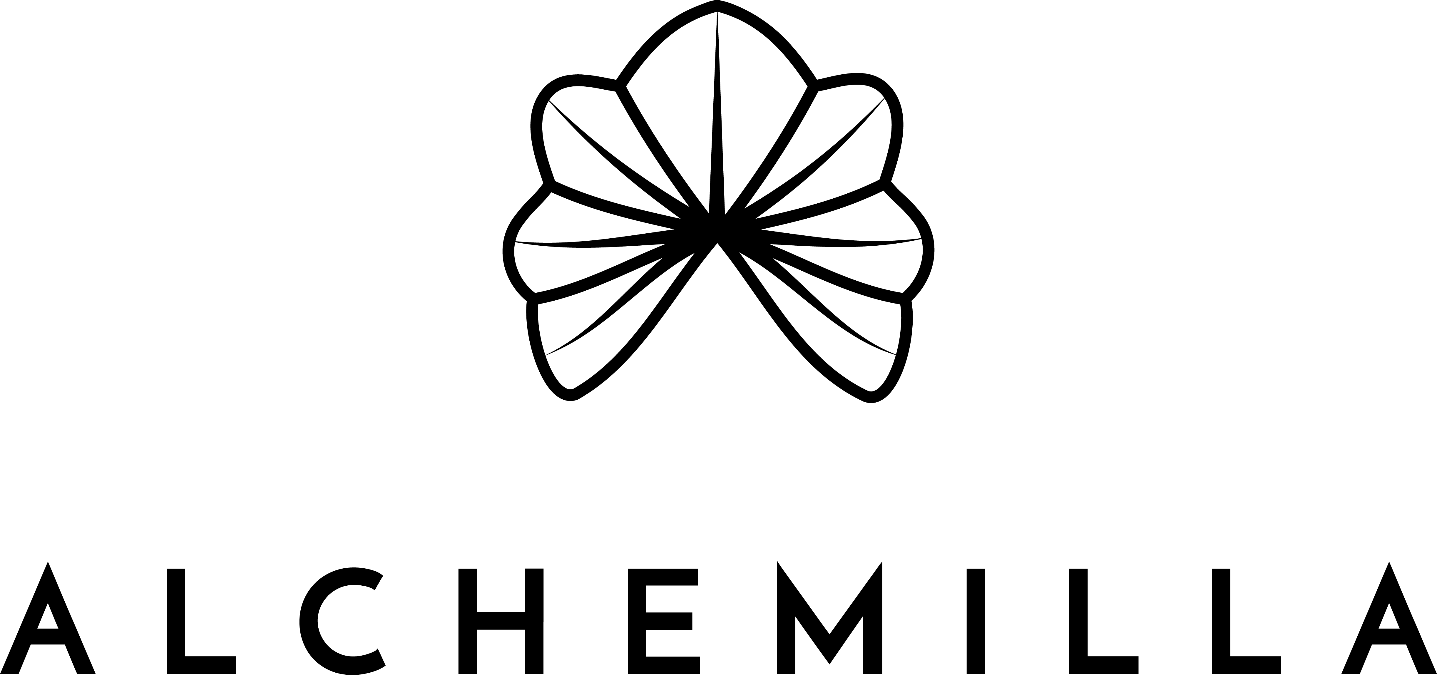 Alchemilla