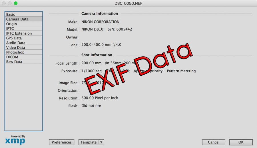 exif data