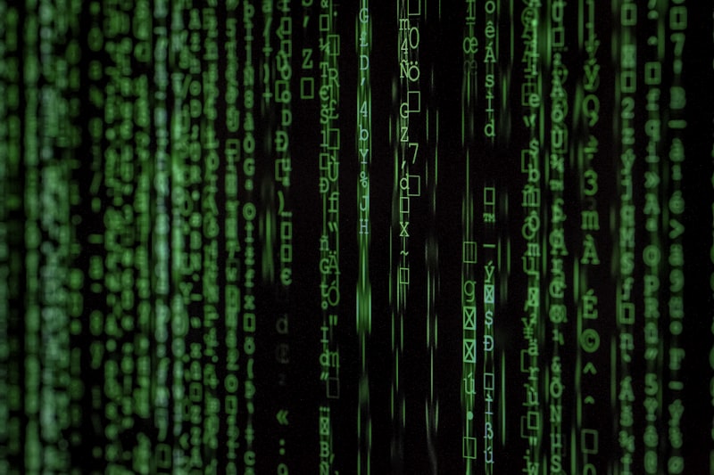 Cyberpunk Developer