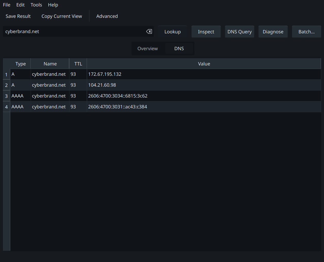 Whodis DNS query showing A and AAAA records for cyberbrand.net