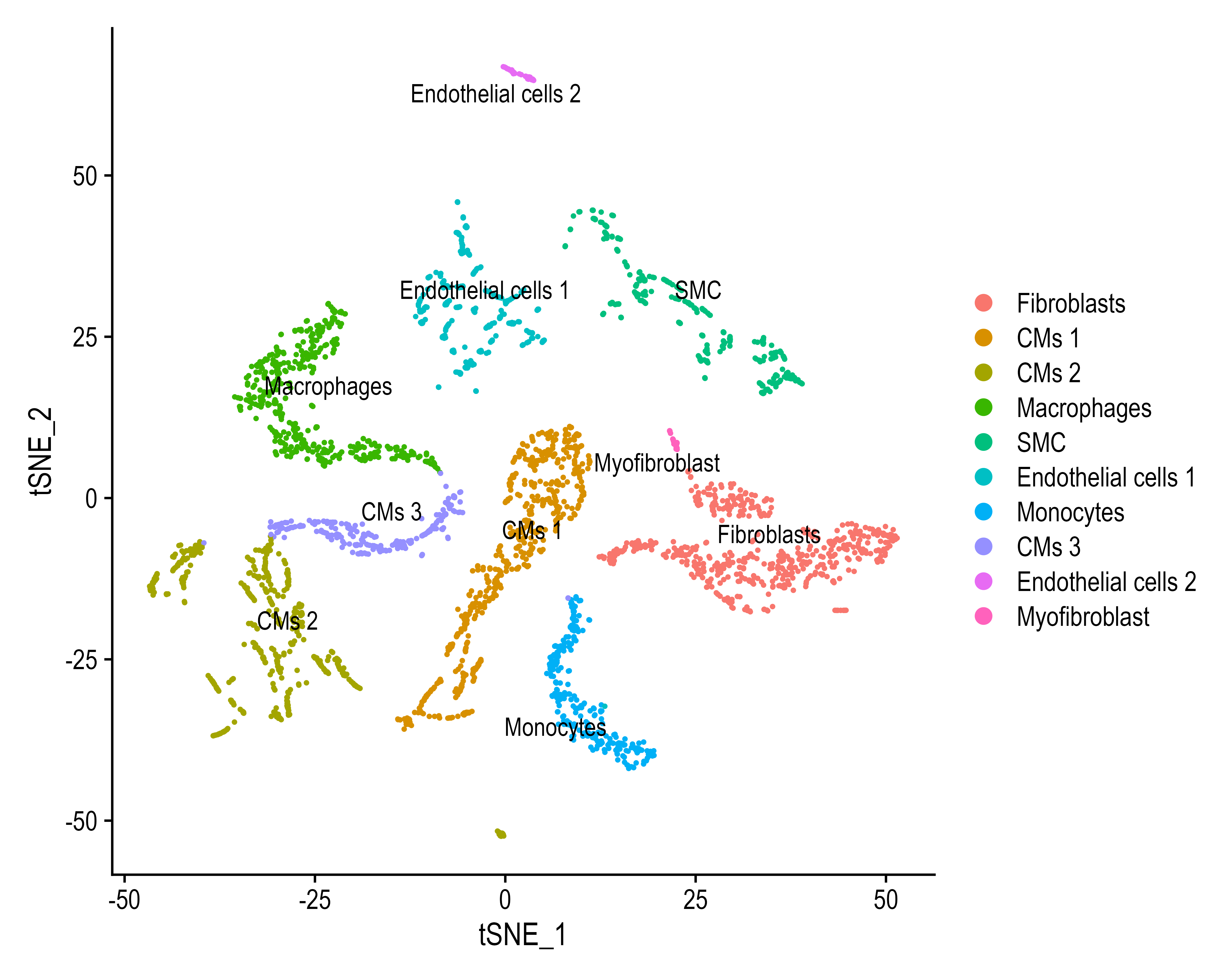 tsne