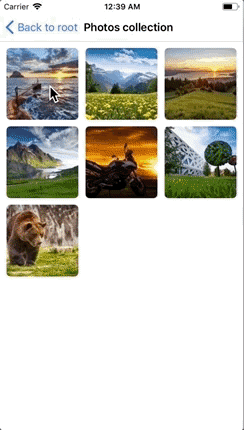 Photo browser