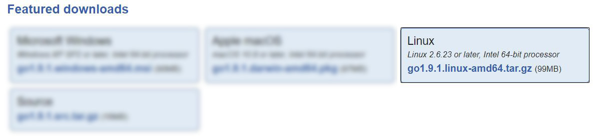 screenshot of golang's download page as of this writting, highliting link