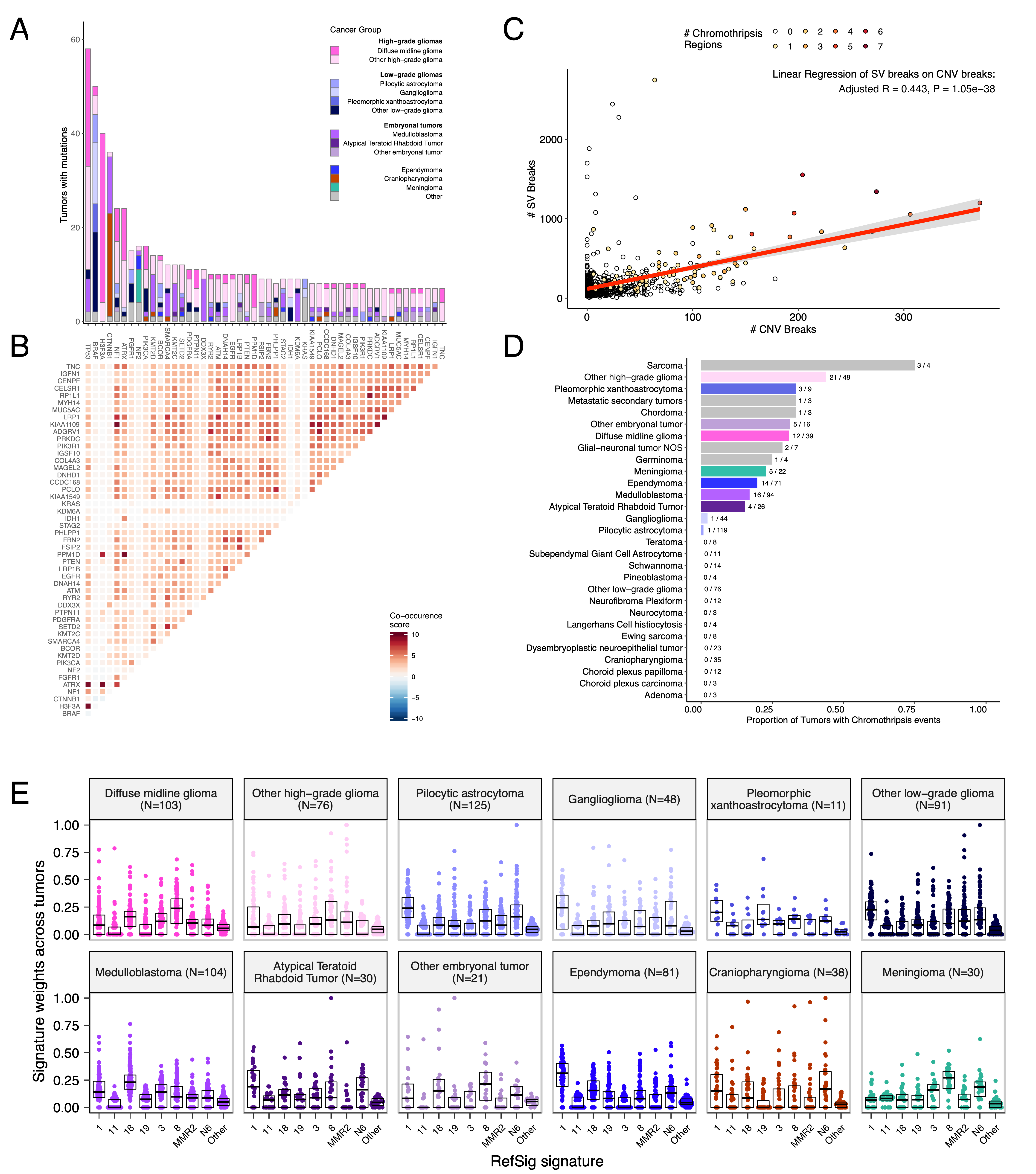 Mutational co-occurrence and signatures highlight key oncogenic drivers. A, Bar plot of occurrence and co-occurrence of nonsynonymous mutations for the 50 most commonly mutated genes across all tumor types, which are denoted as "Other" when there are fewer than 10 tumors per grouping; B, Co-occurrence and mutual exclusivity of nonsynonymous mutations between genes; The co-occurrence score is defined as $I(-\log_{10}(P))$ where $P$ is defined by Fisher's exact test and $I$ is 1 when mutations co-occur more often than expected and -1 when exclusivity is more common; C, The number of SV breaks significantly correlate with CNV breaks (Adjusted R = 0.443, p = 1.05e-38). D, Chromothripsis frequency across pediatric brain tumors for all cancer groups with N >= 3 tumors. E, Sina plots of RefSig signature weights for signatures 1, 11, 18, 19, 3, 8, N6, MMR2, and Other across cancer groups. Box plot represents 5% (lower whisker), 25% (lower box), 50% (median), 75% (upper box), and 95% (upper whisker) quantiles.