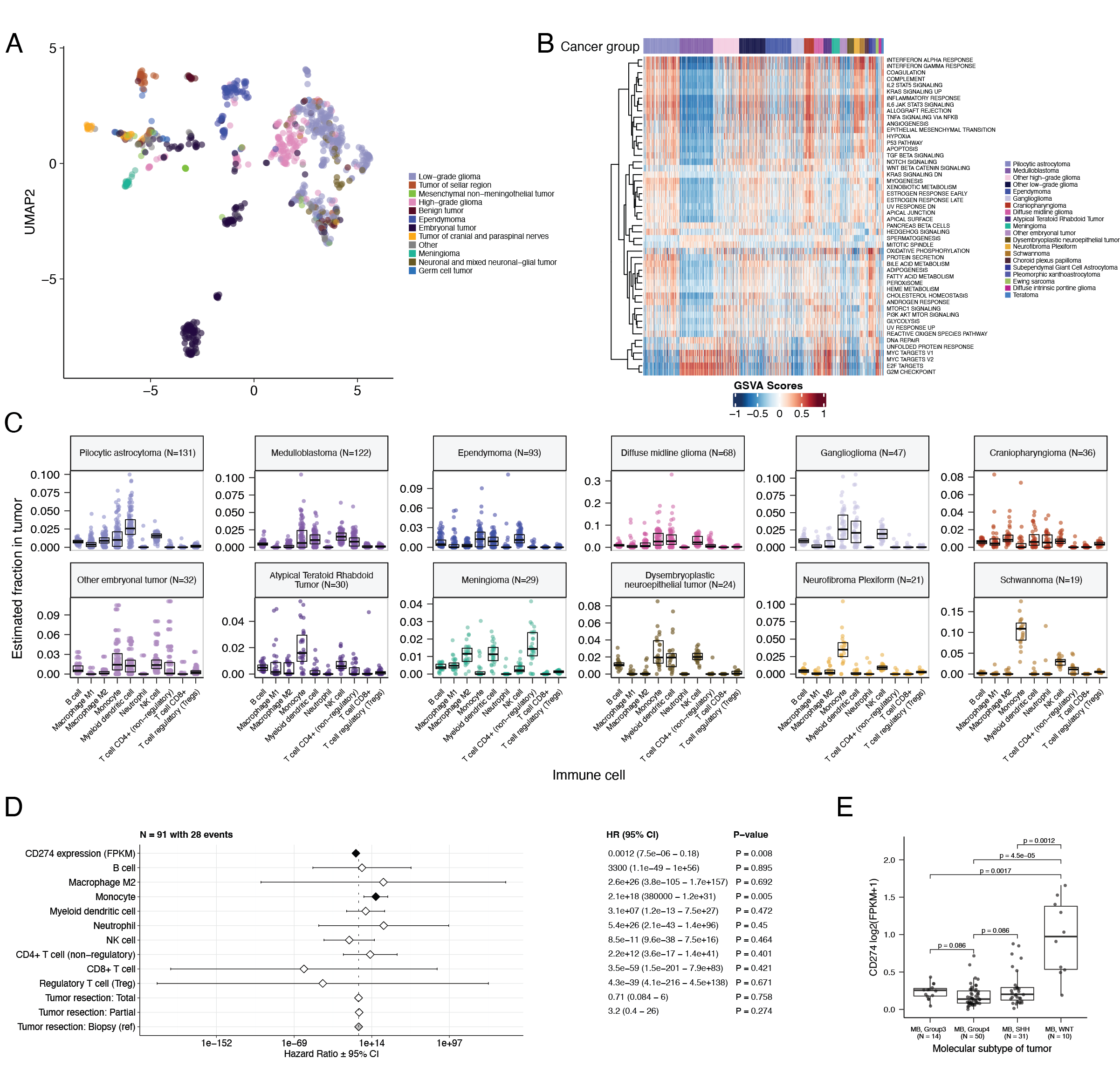 Transcriptomic and immune landscape of pediatric brain tumors A, First two dimensions from UMAP of transcriptome data. Points are colored by broad histology. B, Heatmap of GSVA scores for Hallmark gene sets with significant differences, with tumors ordered by cancer group. C, Box plots of quanTIseq estimates of immune cell proportions in select cancer groups with N > 15 tumors. Note: other HGGs and other LGGs have immune cell proportions similar to DMG and pilocytic astrocytoma, respectively, and are not shown. D, Forest plot depicting additive effects of CD274 expression, immune cell proportion, and extent of tumor resection on overall survival of medulloblastoma patients. Hazard ratios (HR) with 95% confidence intervals and p-values (multivariate Cox) are listed. Significant p-values are denoted with black diamonds. Reference groups are denoted by grey diamonds. Of note, the Macrophage M1 HR was 0 (coefficient = -9.90e+4) with infinite upper and lower CIs, and thus it was not included in the figure. E, Box plot of CD274 expression (log<sub>2</sub> FPKM) for medulloblastomas grouped by molecular subtype. Bonferroni-corrected p-values from Wilcoxon tests are shown. Box plot represents 5% (lower whisker), 25% (lower box), 50% (median), 75% (upper box), and 95% (upper whisker) quantiles. Only stranded RNA-Seq data is plotted.