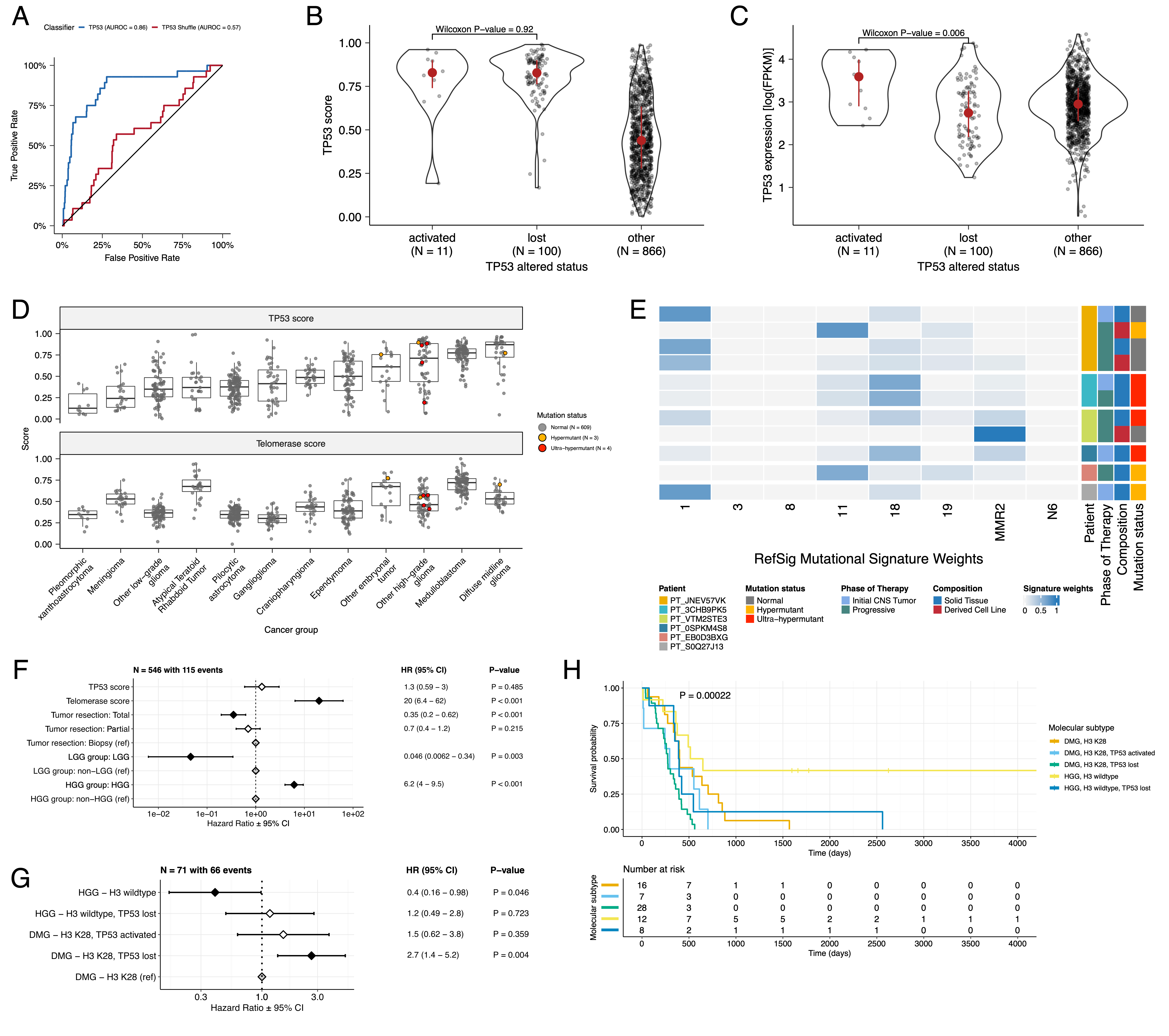 TP53 and telomerase activity A, Receiver Operating Characteristic for TP53 classifier run on stranded FPKM RNA-Seq. B, Violin and strip plots of TP53 scores plotted by TP53 alteration type (N<sub>activated</sub> = 11, N<sub>lost</sub> = 100, N<sub>other</sub> = 866). C, Violin and strip plots of TP53 RNA expression plotted by TP53 activation status (N<sub>activated</sub> = 11, N<sub>lost</sub> = 100, N<sub>other</sub> = 866). D, Boxplots of TP53 and telomerase (EXTEND) scores across cancer groups. TMB status is highlighted in orange (hypermutant) or red (ultra-hypermutant). E, Heatmap of RefSig mutational signatures for patients with at least one hypermutant tumor or cell line. F, Forest plot depicting prognostic effects of TP53 and telomerase scores on overall survival (OS), controlling for extent of tumor resection, LGG group, and HGG group. G, Forest plot depicting the effect of molecular subtype on HGG OS. Hazard ratios (HR) with 95% confidence intervals and p-values (multivariate Cox) are given in F and G.  Black diamonds denote significant p-values, and gray diamonds denote reference groups. H, Kaplan-Meier curve of HGGs by molecular subtype. Boxplot represents 5% (lower whisker), 25% (lower box), 50% (median), 75% (upper box), and 95% (upper whisker) quantiles.