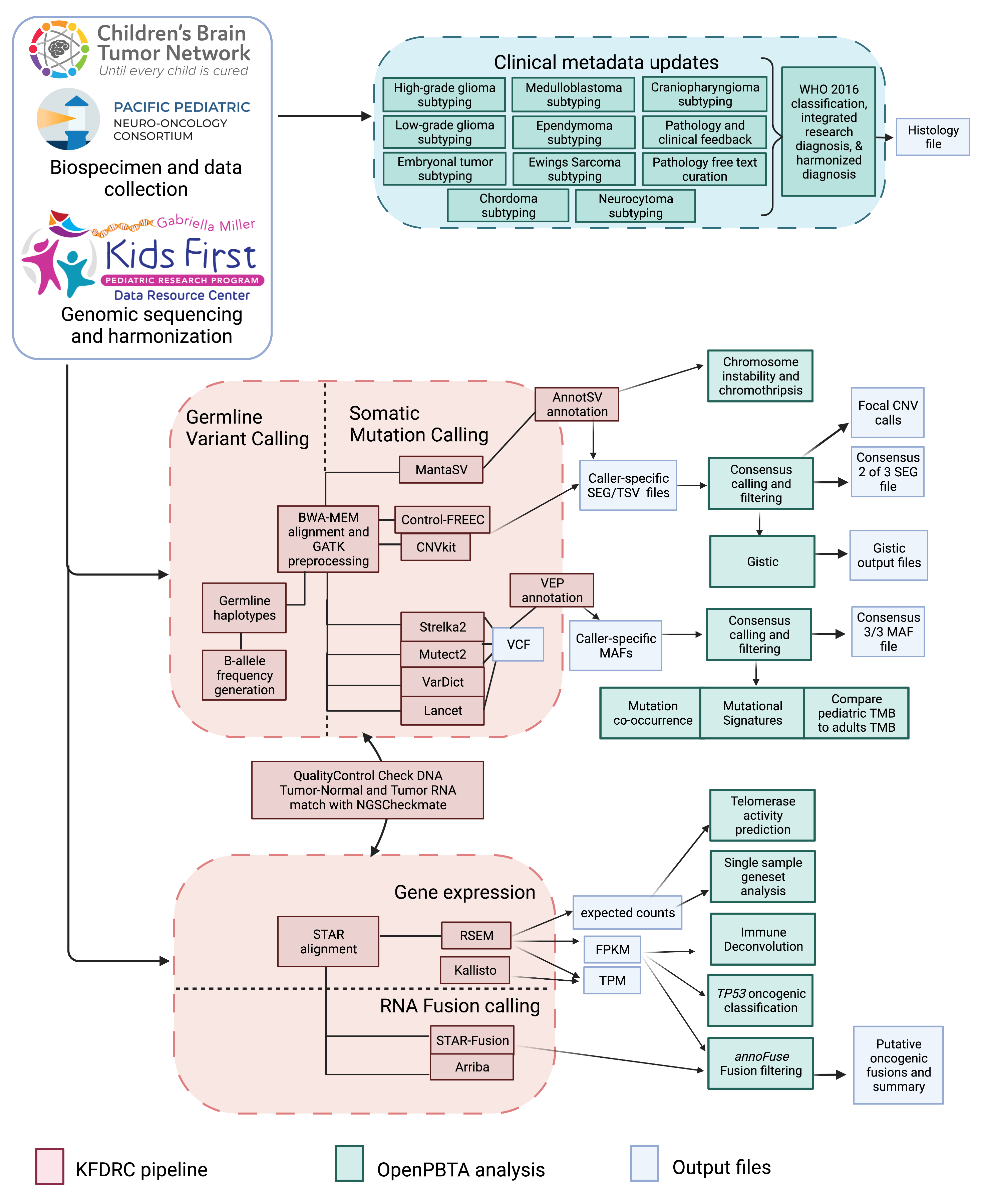 Figure S1: OpenPBTA Project Workflow, Related to Figure 1. Biospecimens and data were collected by CBTN and PNOC. Genomic sequencing and harmonization (orange boxes) were performed by the Kids First Data Resource Center (KFDRC). Analyses in the green boxes were performed by contributors of the OpenPBTA project. Output files are denoted in blue. Figure created with BioRender.com.