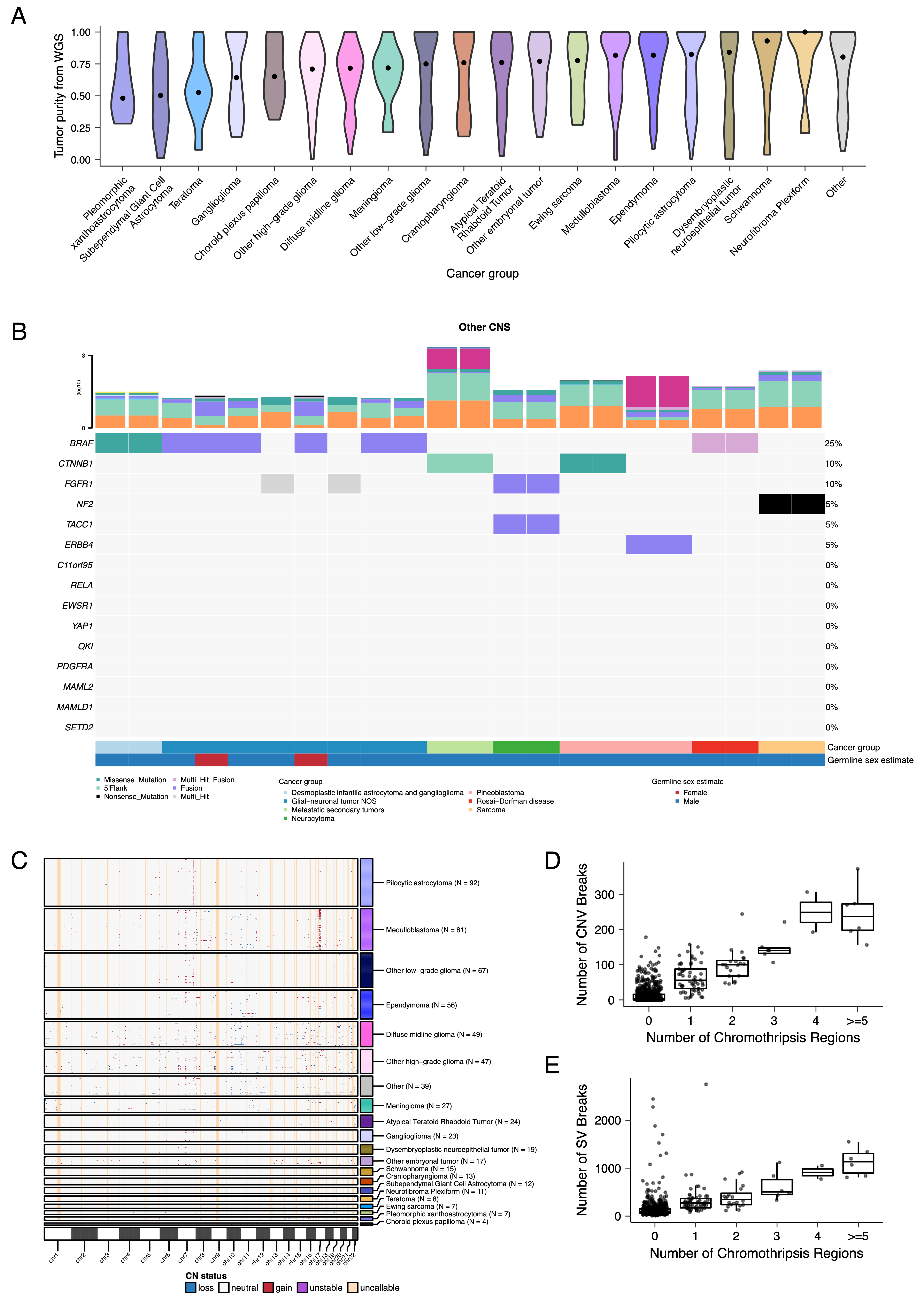 Figure S3: Genomic instability of pediatric brain tumors, Related to Figures 2 and 3. (A) Violin plots of tumor purity by cancer group. Dots represent the group median. (B) Oncoprint of canonical somatic gene mutations, CNVs, fusions, and TMB (top bar plot) for the top mutated genes across rare CNS tumors: desmoplastic infantile astrocytoma and ganglioglioma (N = 2), germinoma (N = 4), glial-neuronal NOS (N = 8), metastatic secondary tumors (N = 2), neurocytoma (N = 2), pineoblastoma (N = 4), Rosai-Dorfman disease (N = 2), and sarcomas (N = 4). Patient sex (Germline sex estimate) and tumor histology (Cancer Group) are displayed as annotations at the bottom of each plot. Multiple CNVs are denoted as a complex event. N denotes the number of unique tumors with one tumor per patient used. (C) Genome-wide plot of CNV alterations by broad histology. Each row represents one sample. Box and whisker plots of number of CNV breaks (D) or SV breaks (E) by number of chromothripsis regions. Box plot represents 5% (lower whisker), 25% (lower box), 50% (median), 75% (upper box), and 95% (upper whisker) quantiles.