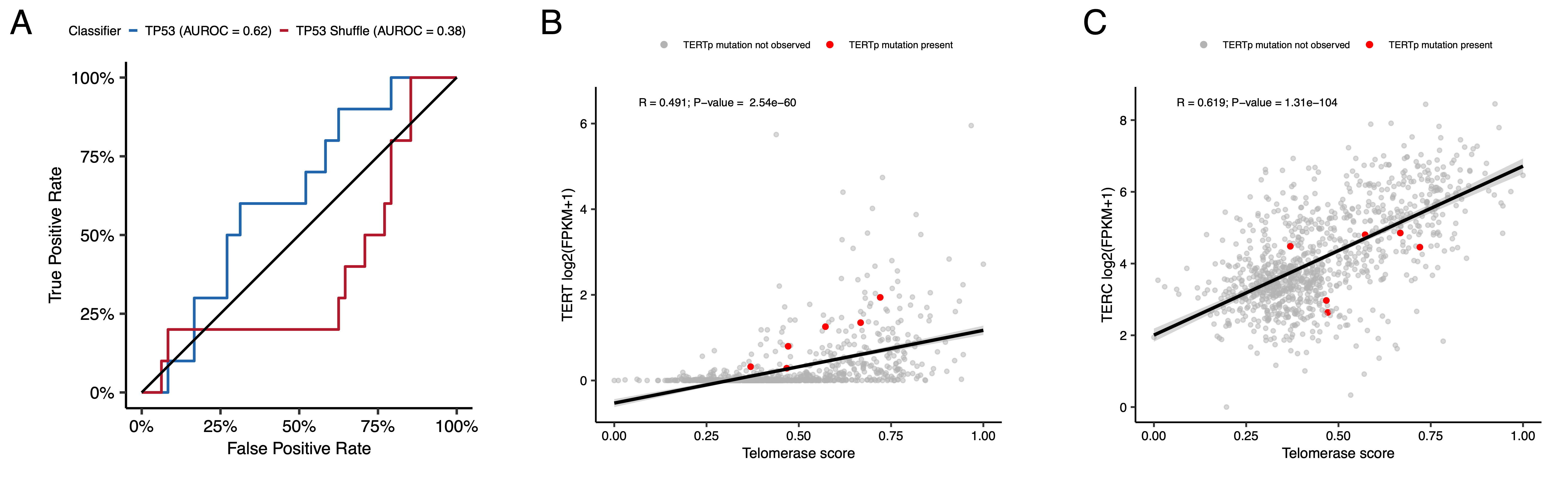 Figure S5: Quality control metrics for TP53 and EXTEND scores, Related to Figure 4. (A) Receiver Operating Characteristic for TP53 classifier run on FPKM of poly-A RNA-Seq samples. Correlation plots for telomerase scores (EXTEND) with RNA expression of TERT (B) and TERC (C). Red dots in B and C denote samples with known TERT promoter (TERTp) mutations.