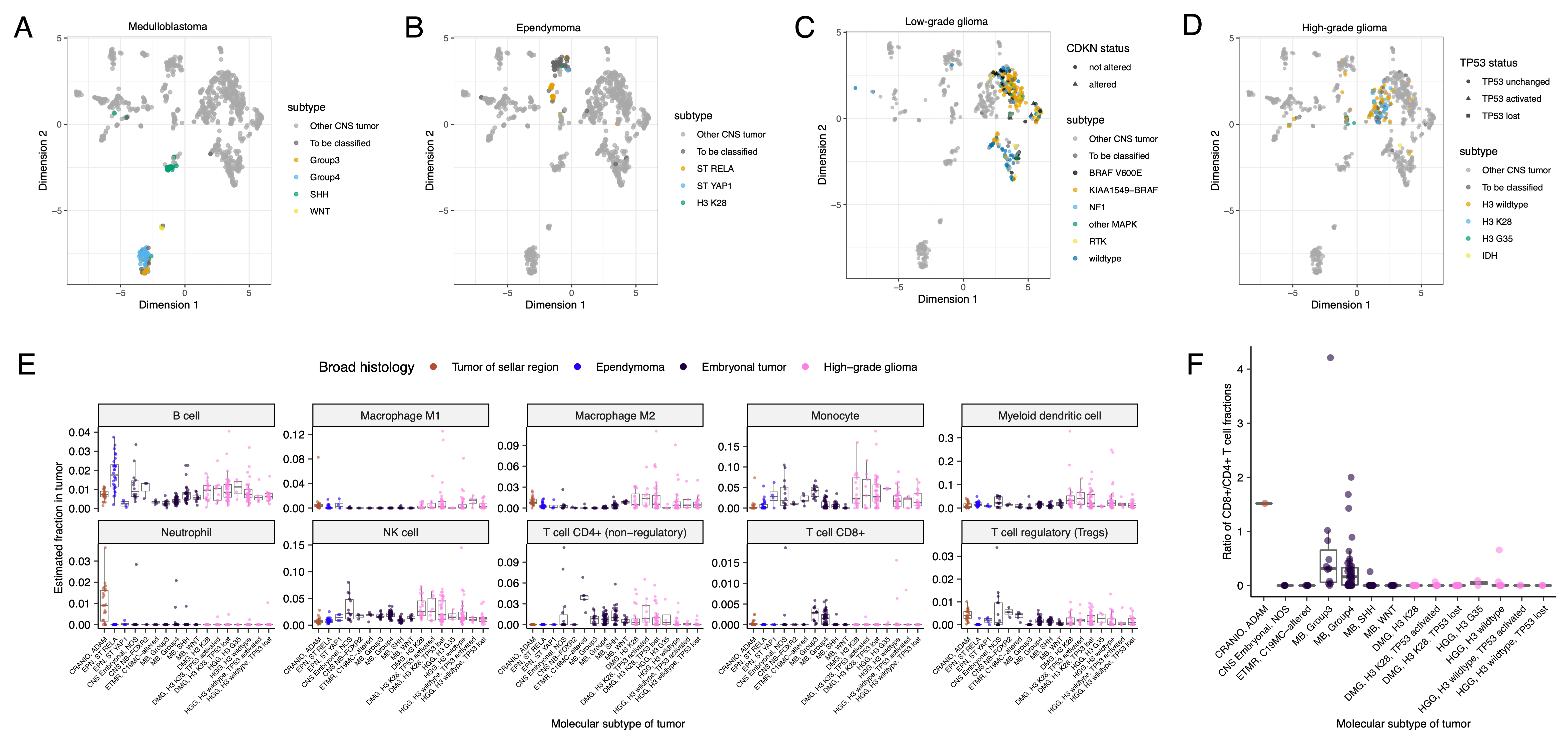 Figure S6: Subtype-specific clustering and immune cell fractions, Related to Figure 5. First two dimensions from UMAP of sample transcriptome data with points colored by molecular_subtype for medulloblastoma (A), ependymoma (B), low-grade glioma (C), and high-grade glioma (D). (E) Box plots of quanTIseq estimates of immune cell fractions in histologies with more than one molecular subtype with N >=3. (F) Box plots of the ratio of immune cell fractions of CD8+ to CD4+ T cells in histologies with more than one molecular subtype with N >=3. Box plot represents 5% (lower whisker), 25% (lower box), 50% (median), 75% (upper box), and 95% (upper whisker) quantiles.