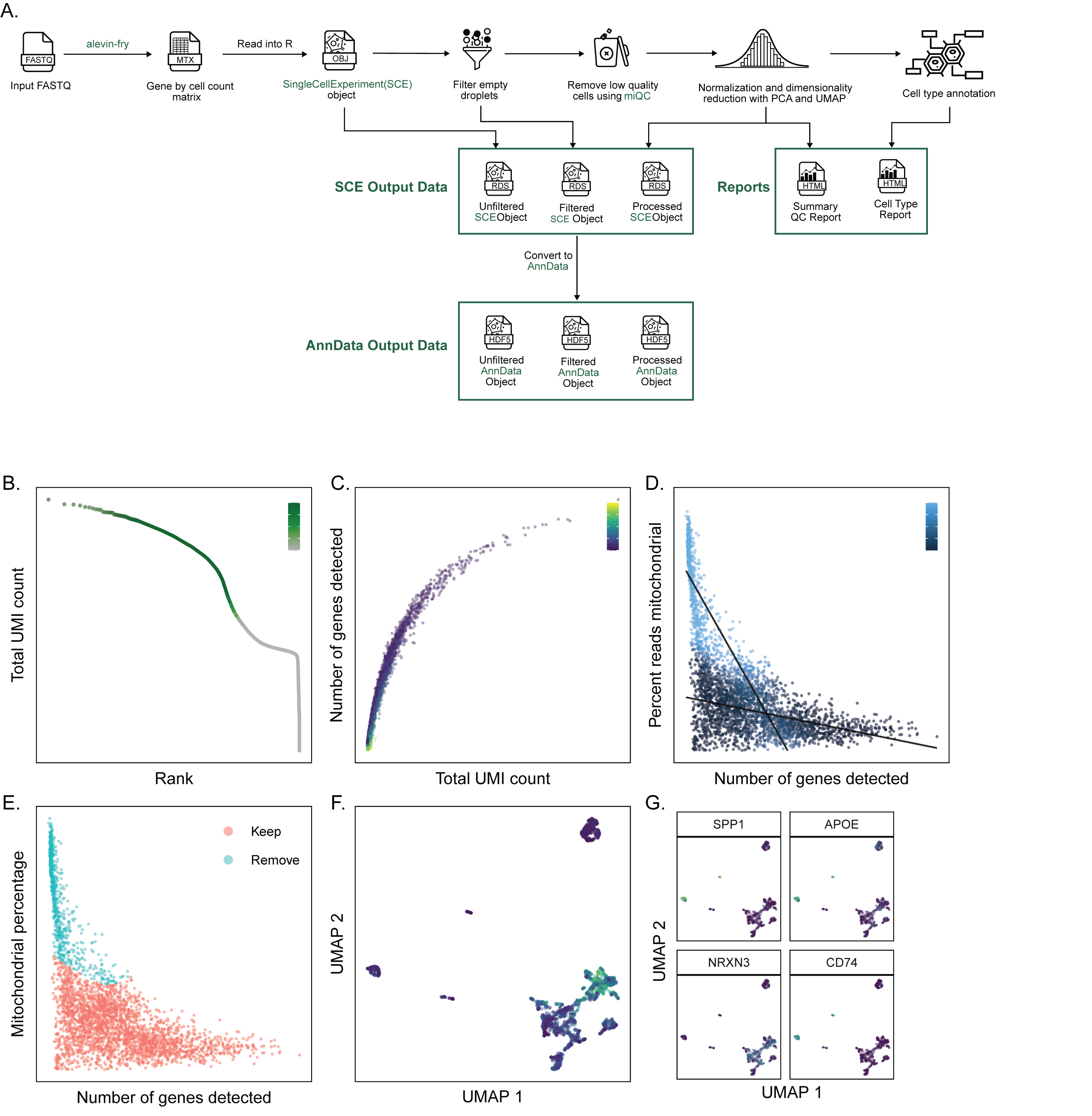 Figure 2: Overview of the scpca-nf workflow.