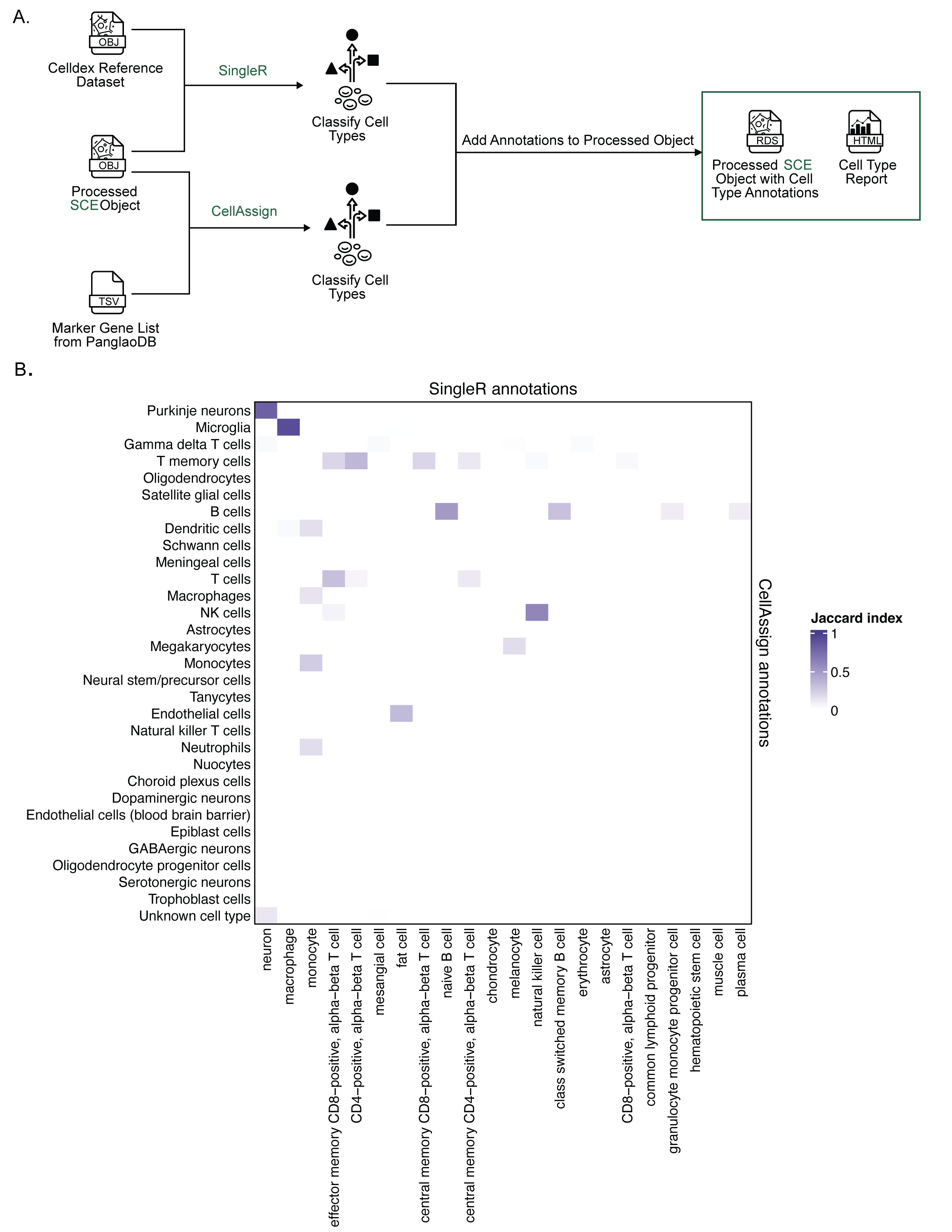 Figure 4: Cell type annotation in scpca-nf.