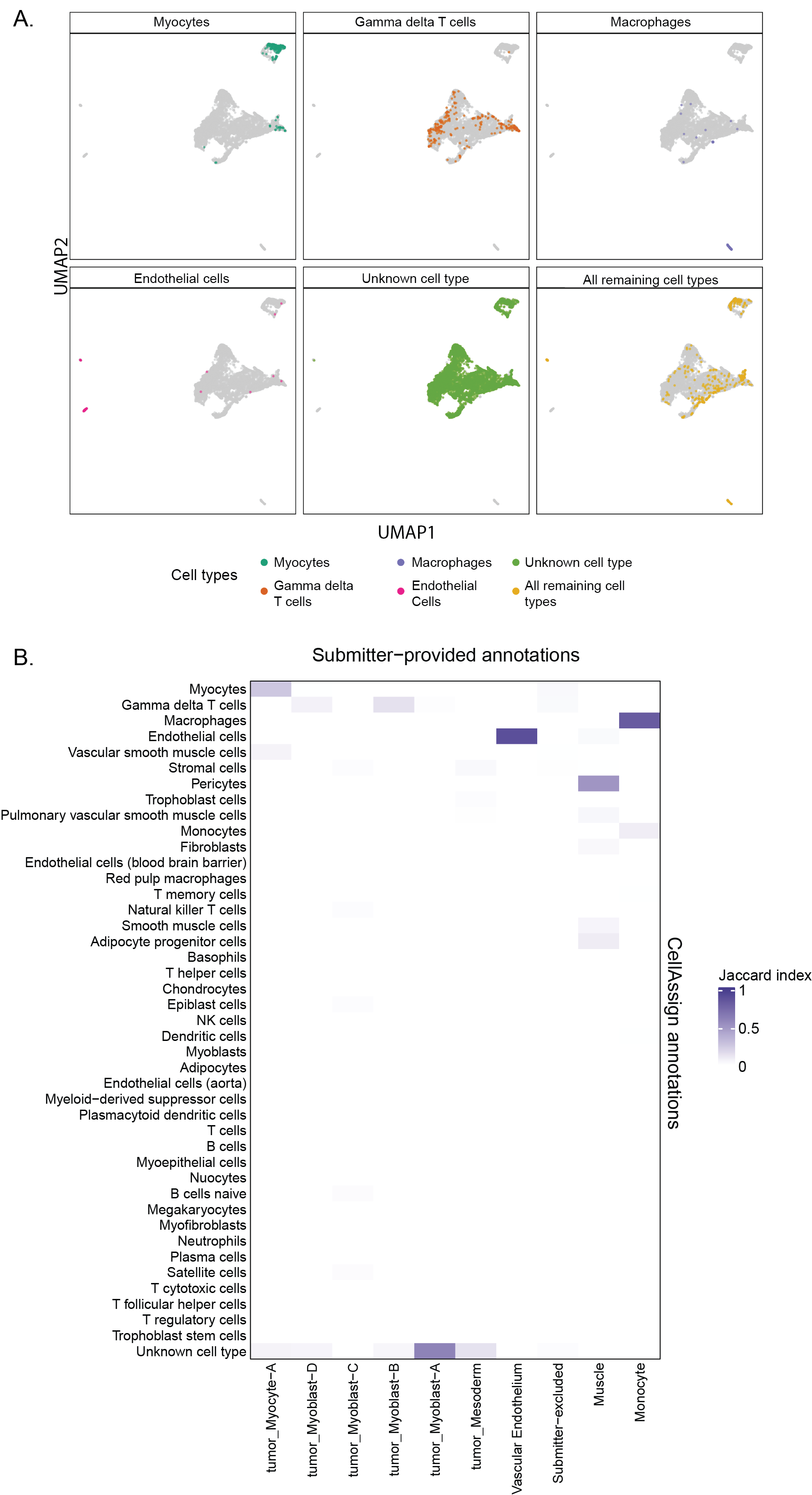 Figure S5: Cell type annotation with CellAssign.