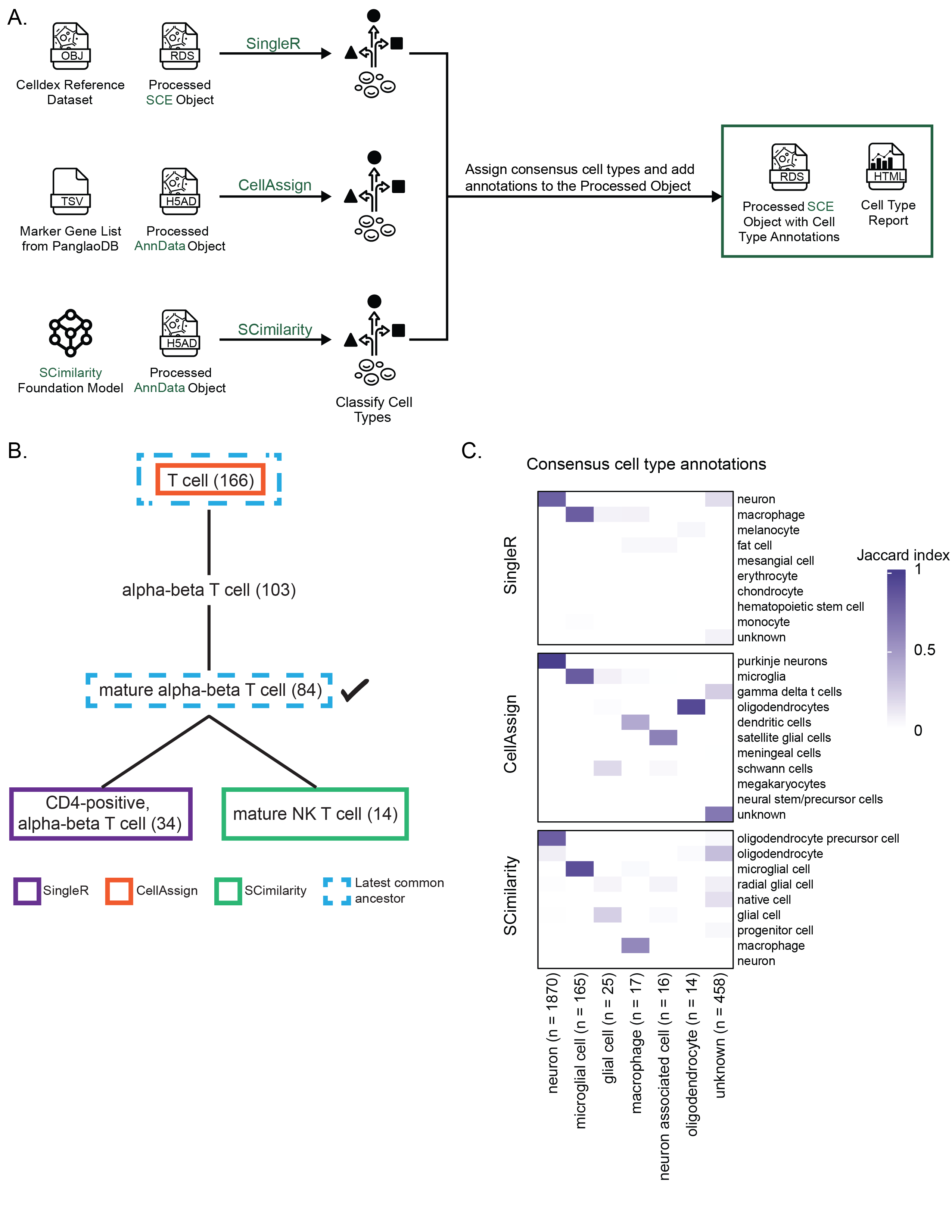 **Consensus cell type annotation in `scpca-nf`.**