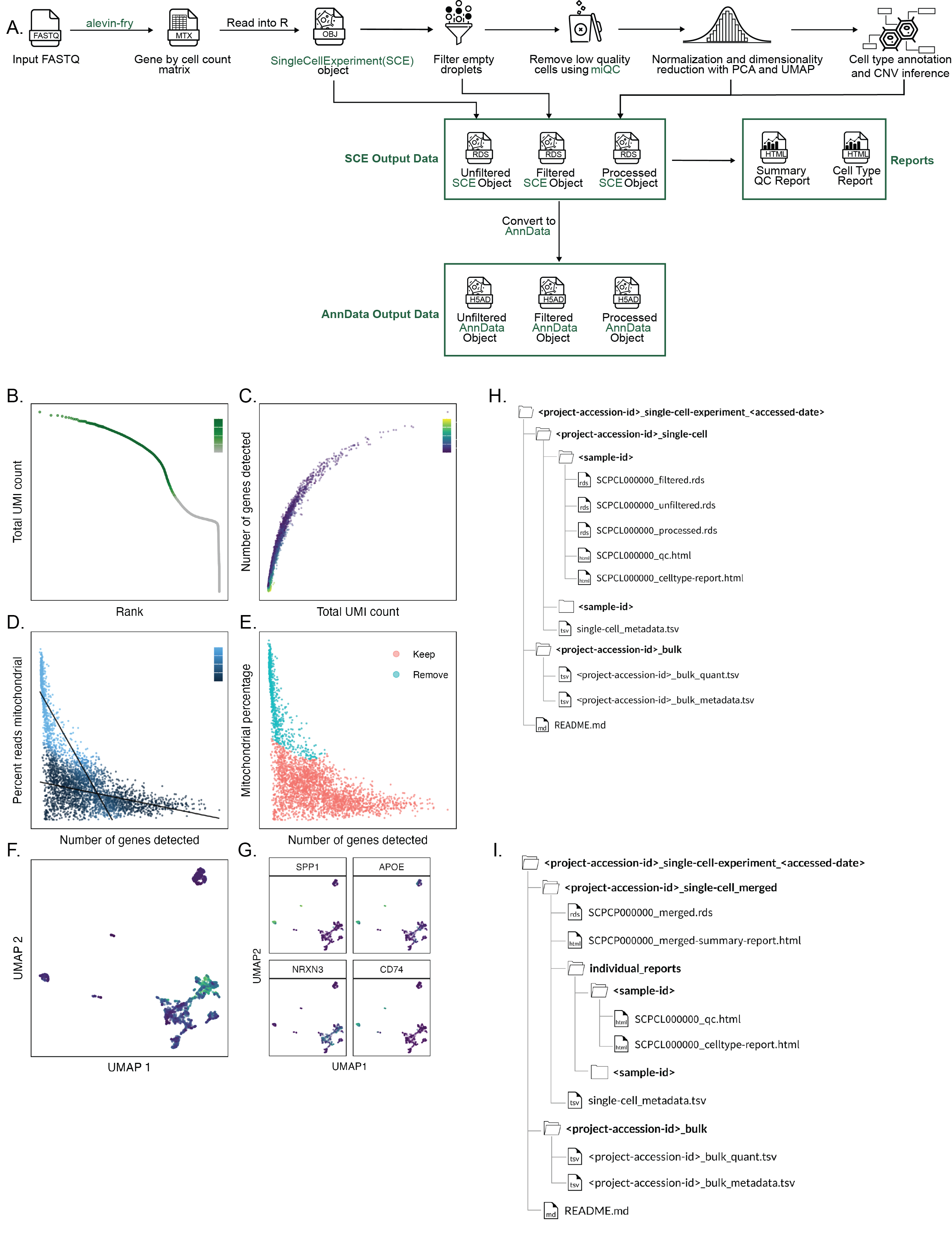 **Overview of the `scpca-nf` workflow and download file structures.**