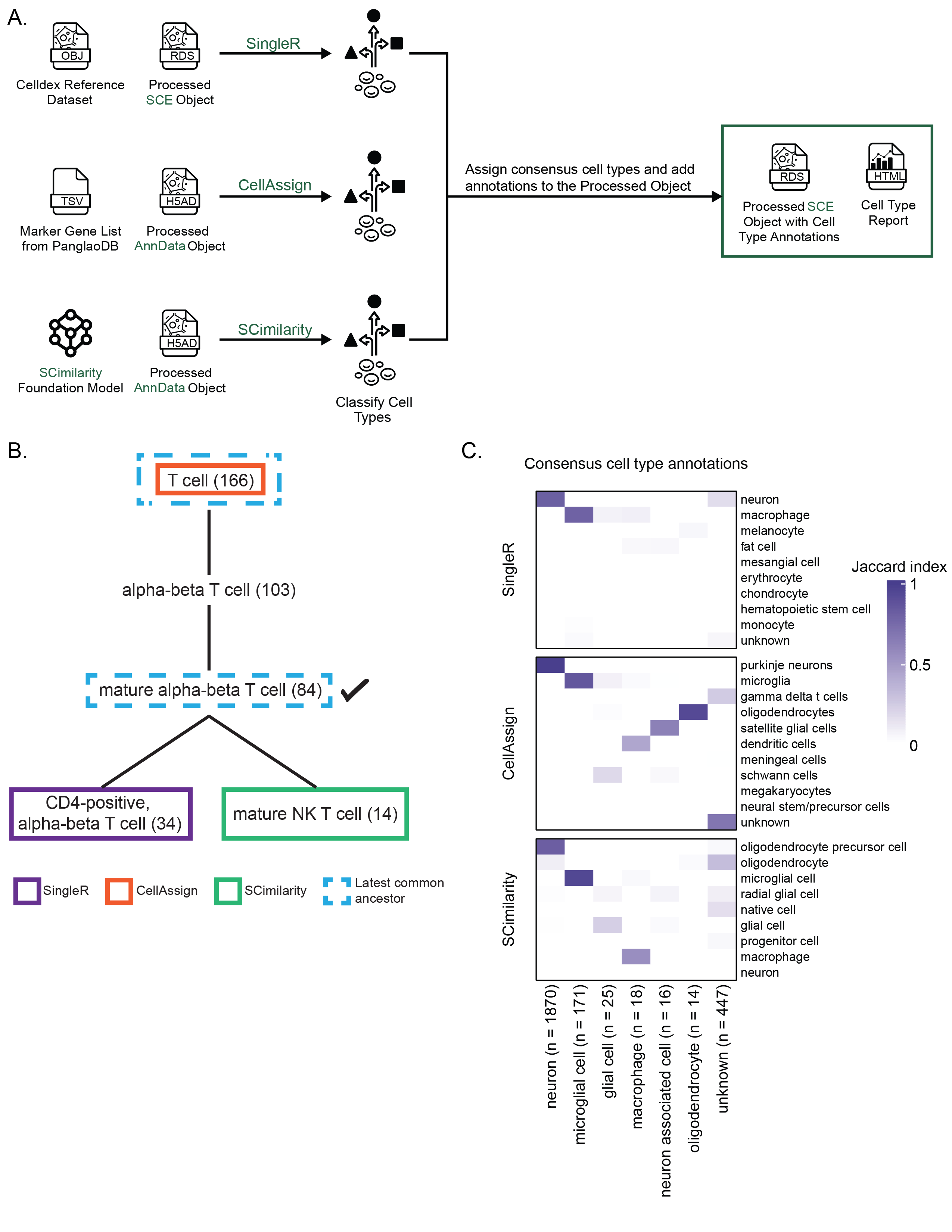 **Consensus cell type annotation in `scpca-nf`.**