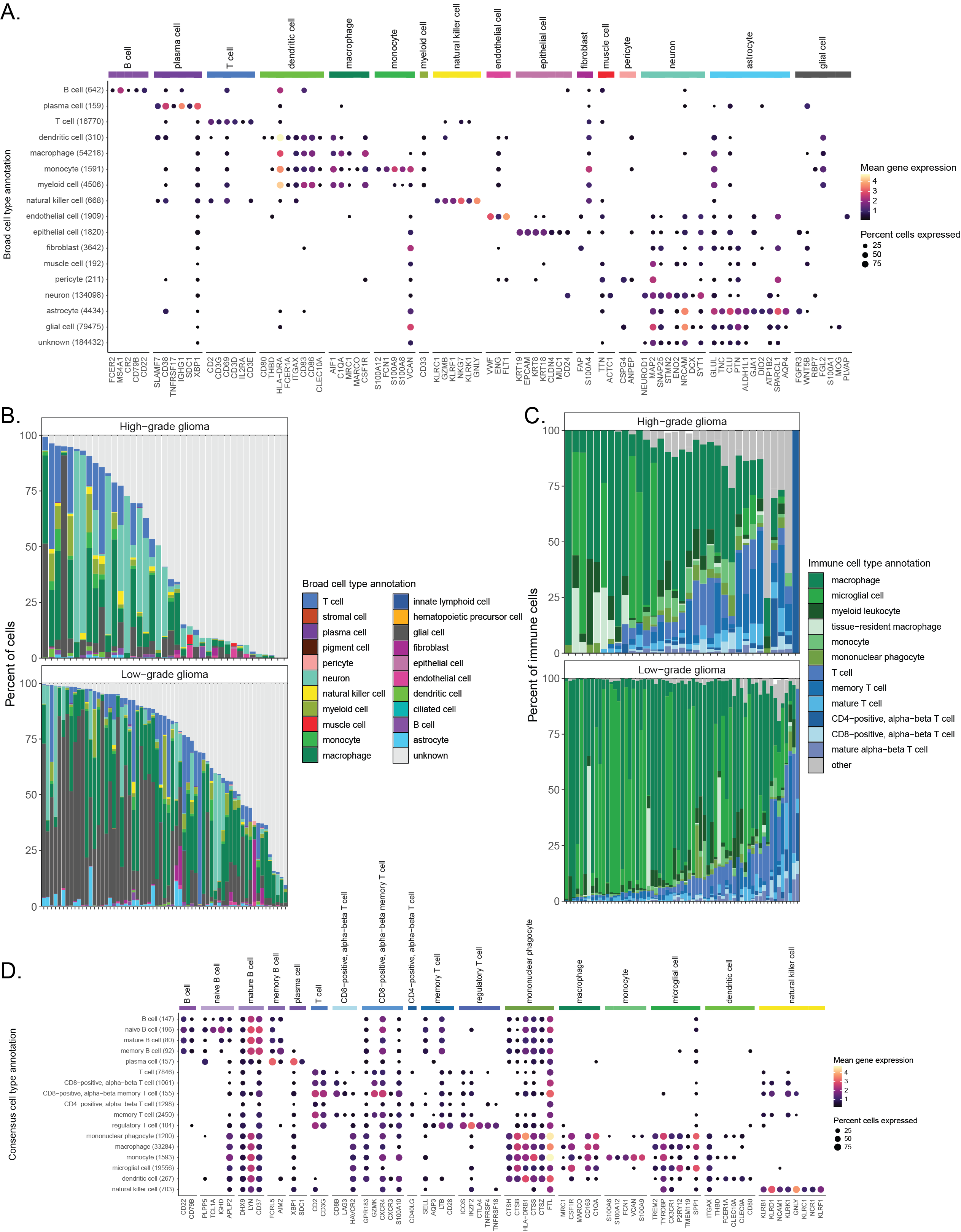 **Consensus cell type annotations in brain and CNS tumors.**