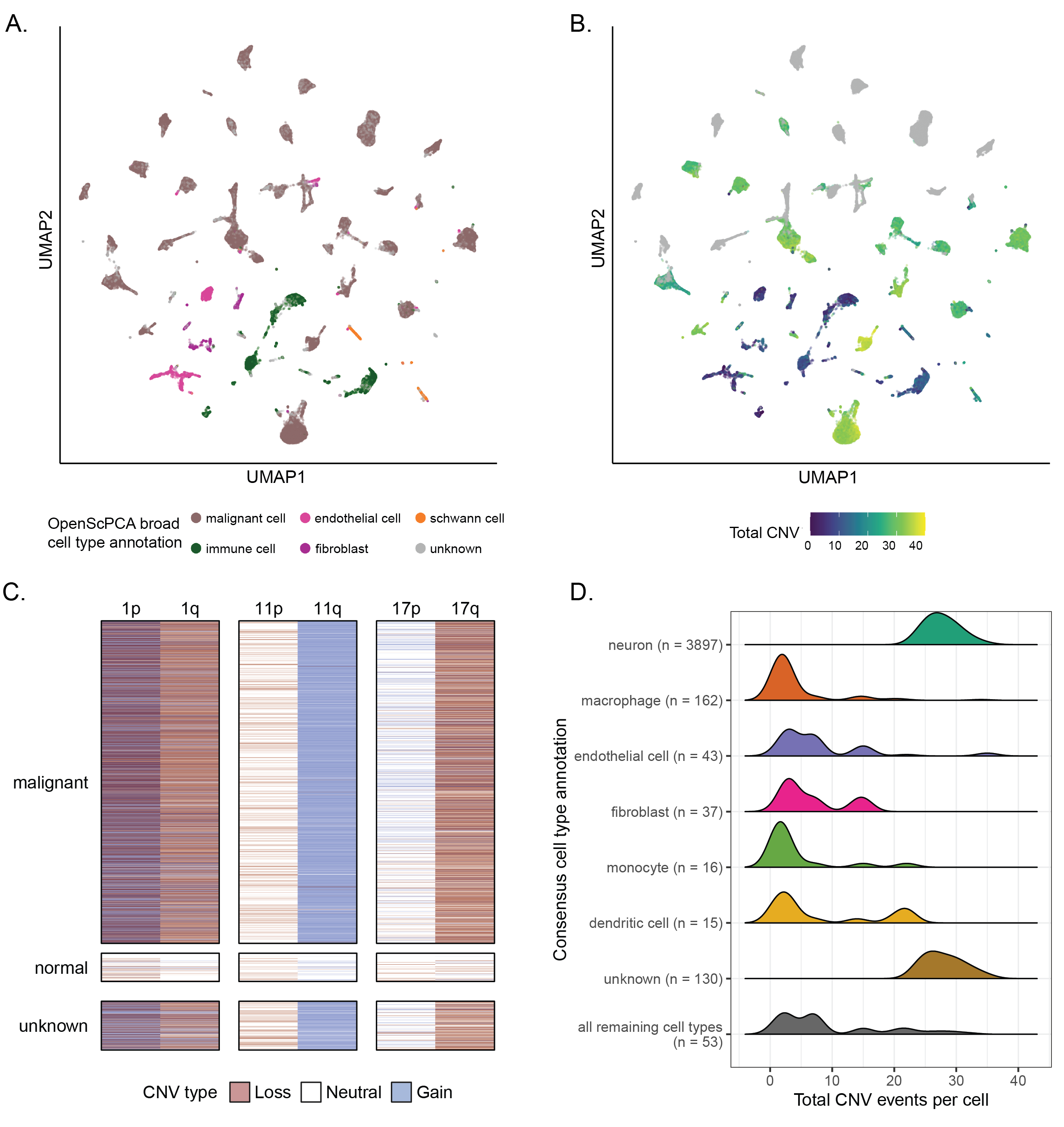 **Cell type annotation and CNV inference on neuroblastoma samples.**