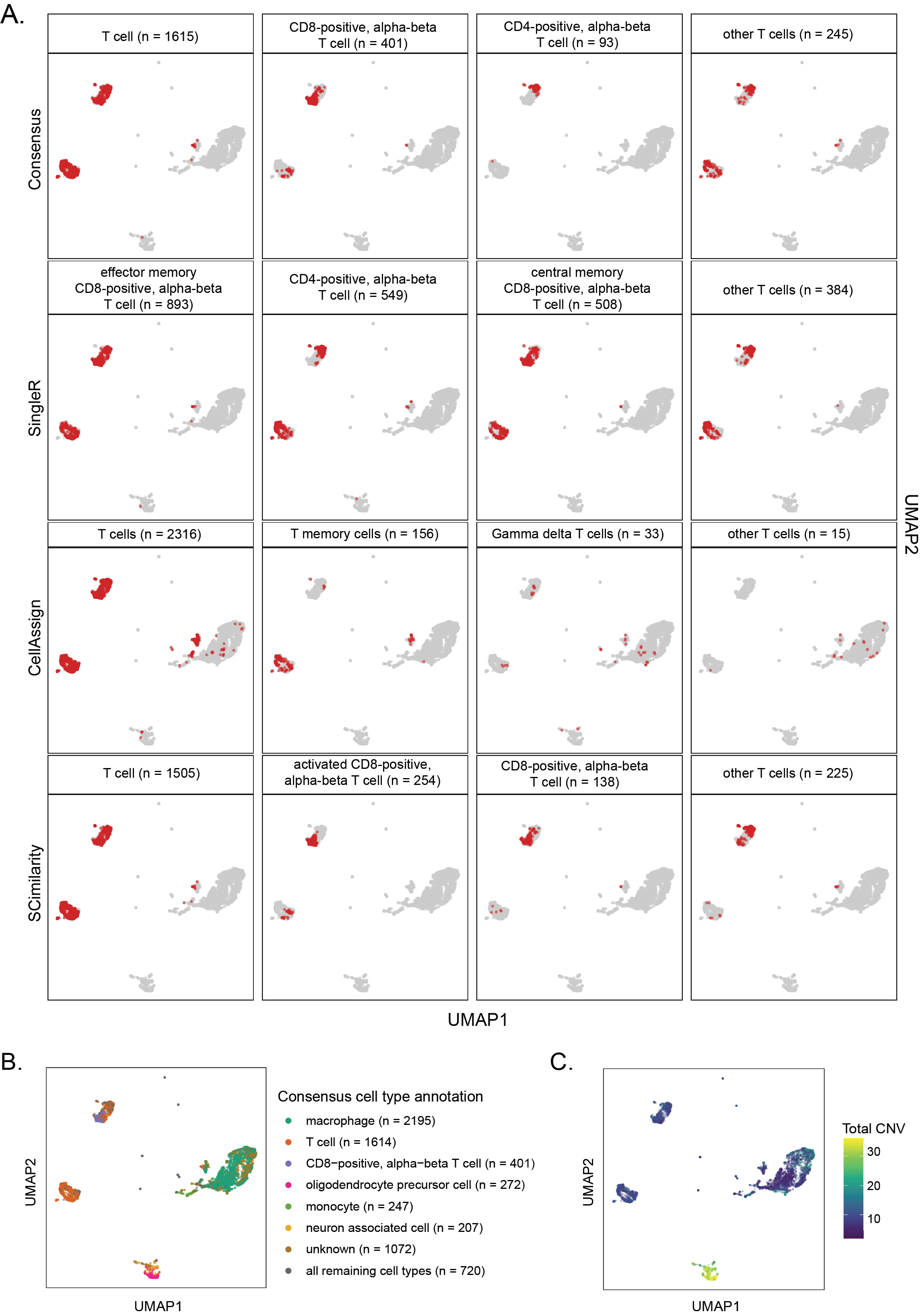 **Ontology-aware consensus cell type assignment provides harmonized labels for cells.**