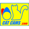 Cat Cams