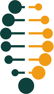 DNA strand metaphor with user needs woven throughout the helix which twists four times, for each phase of service design