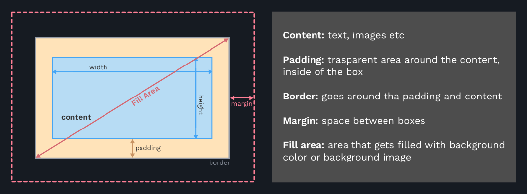 box model